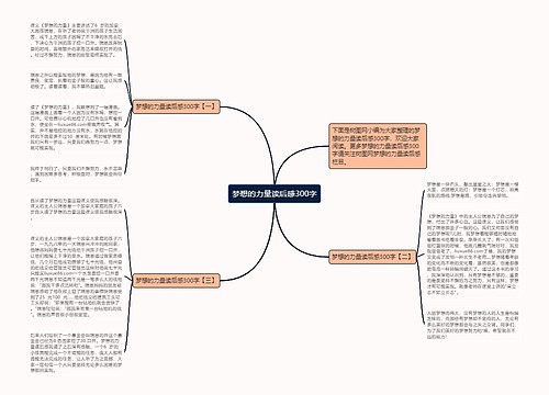 梦想的力量读后感300字