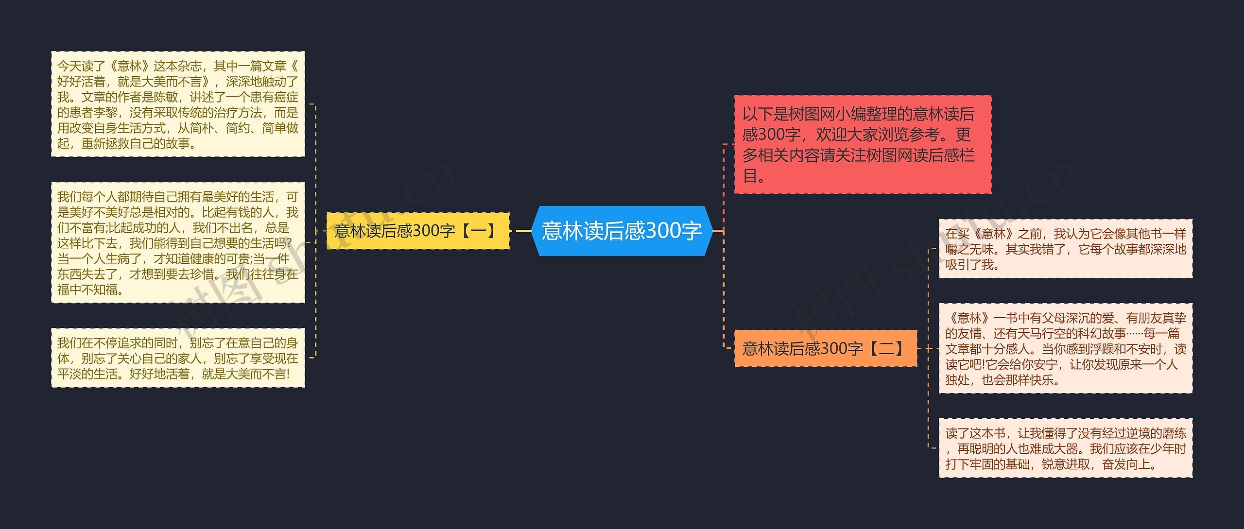 意林读后感300字思维导图