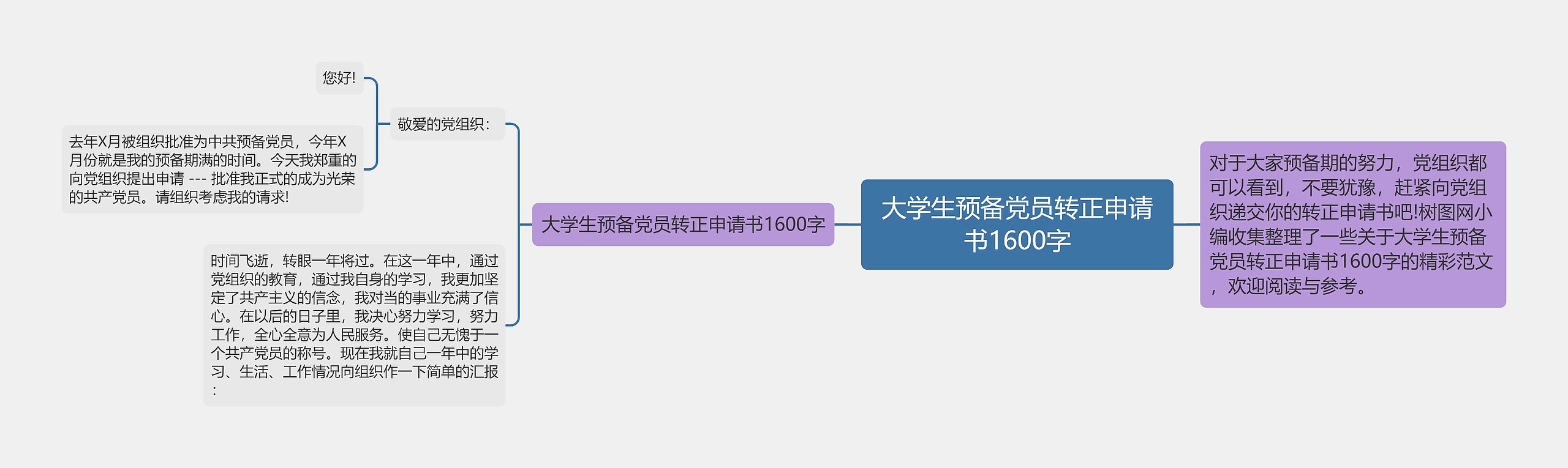 大学生预备党员转正申请书1600字