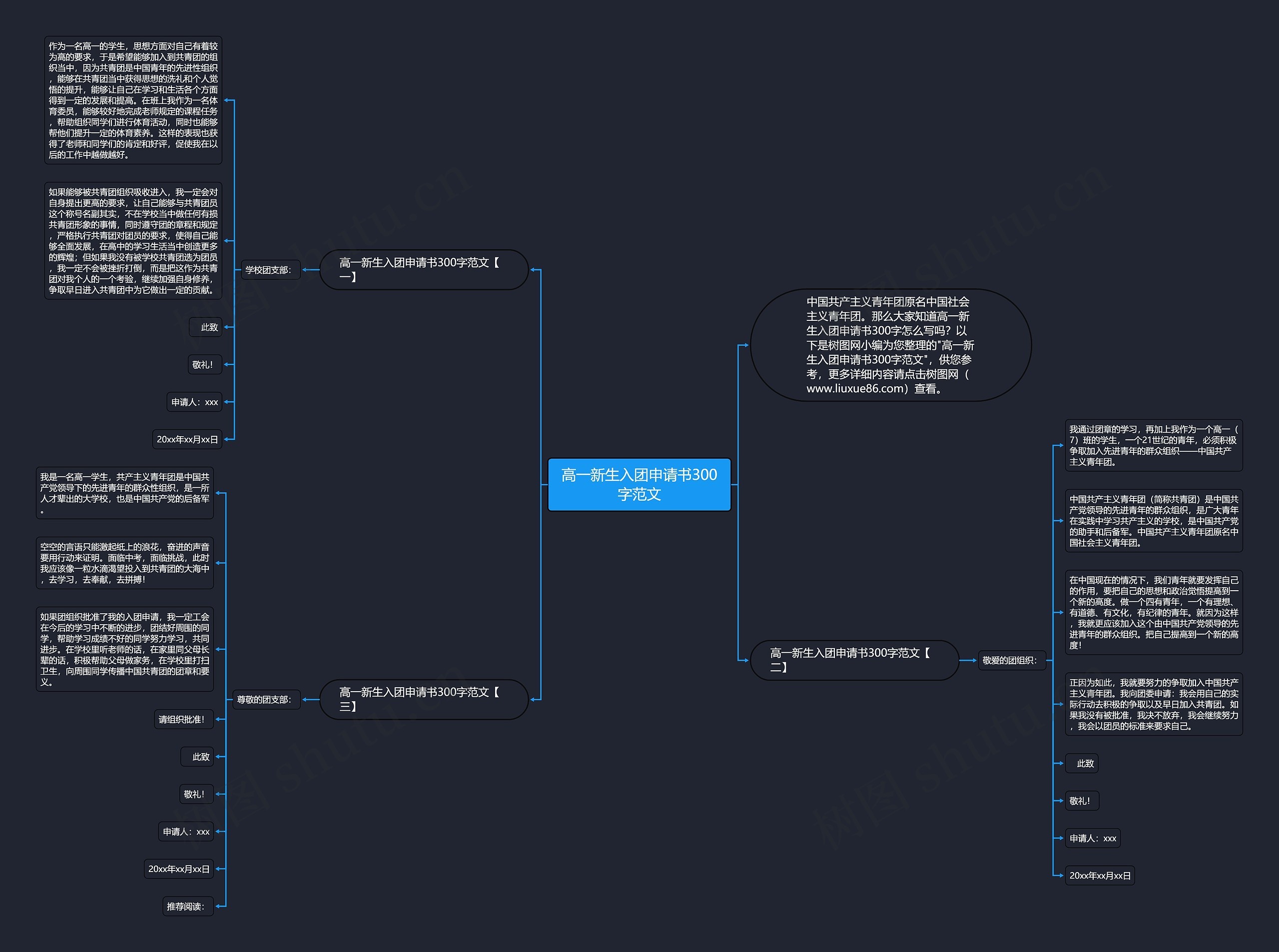 高一新生入团申请书300字范文思维导图
