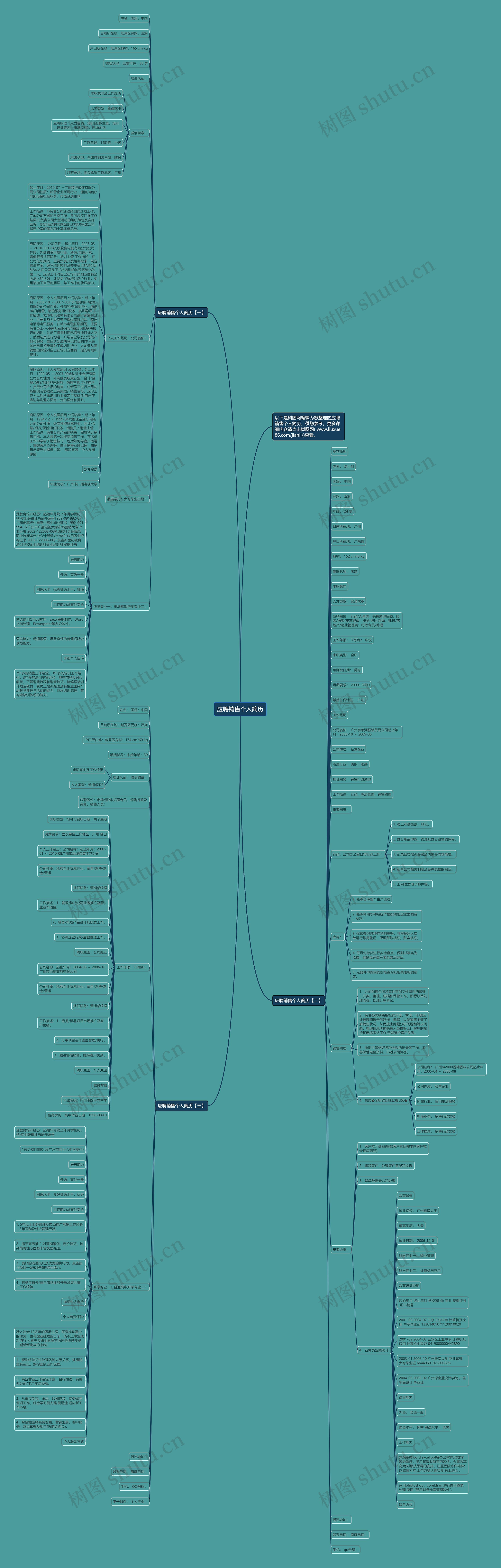 应聘销售个人简历思维导图