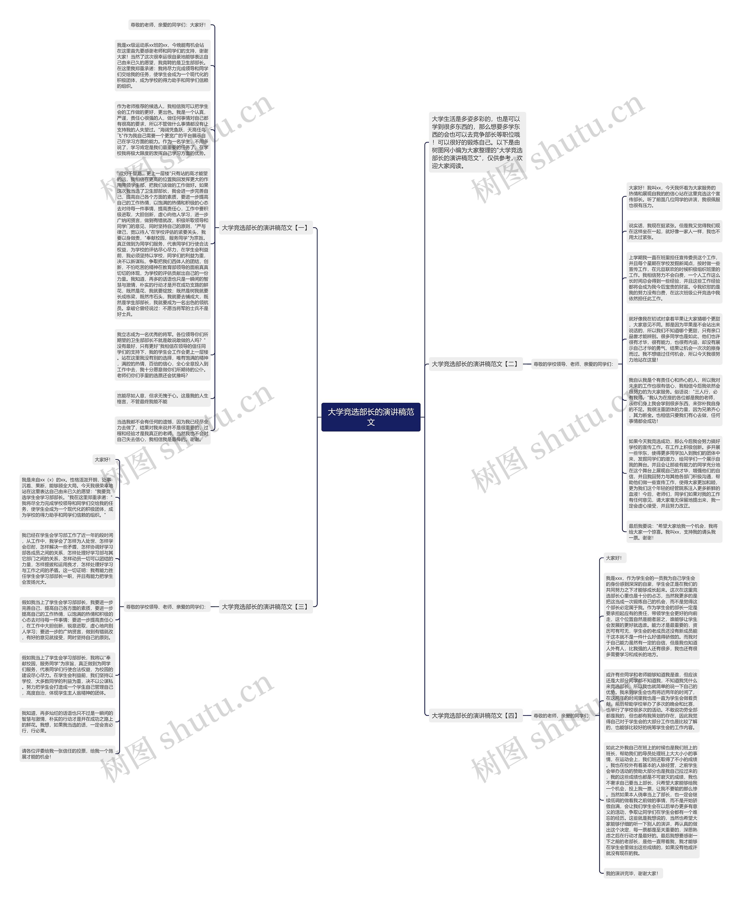 大学竞选部长的演讲稿范文思维导图