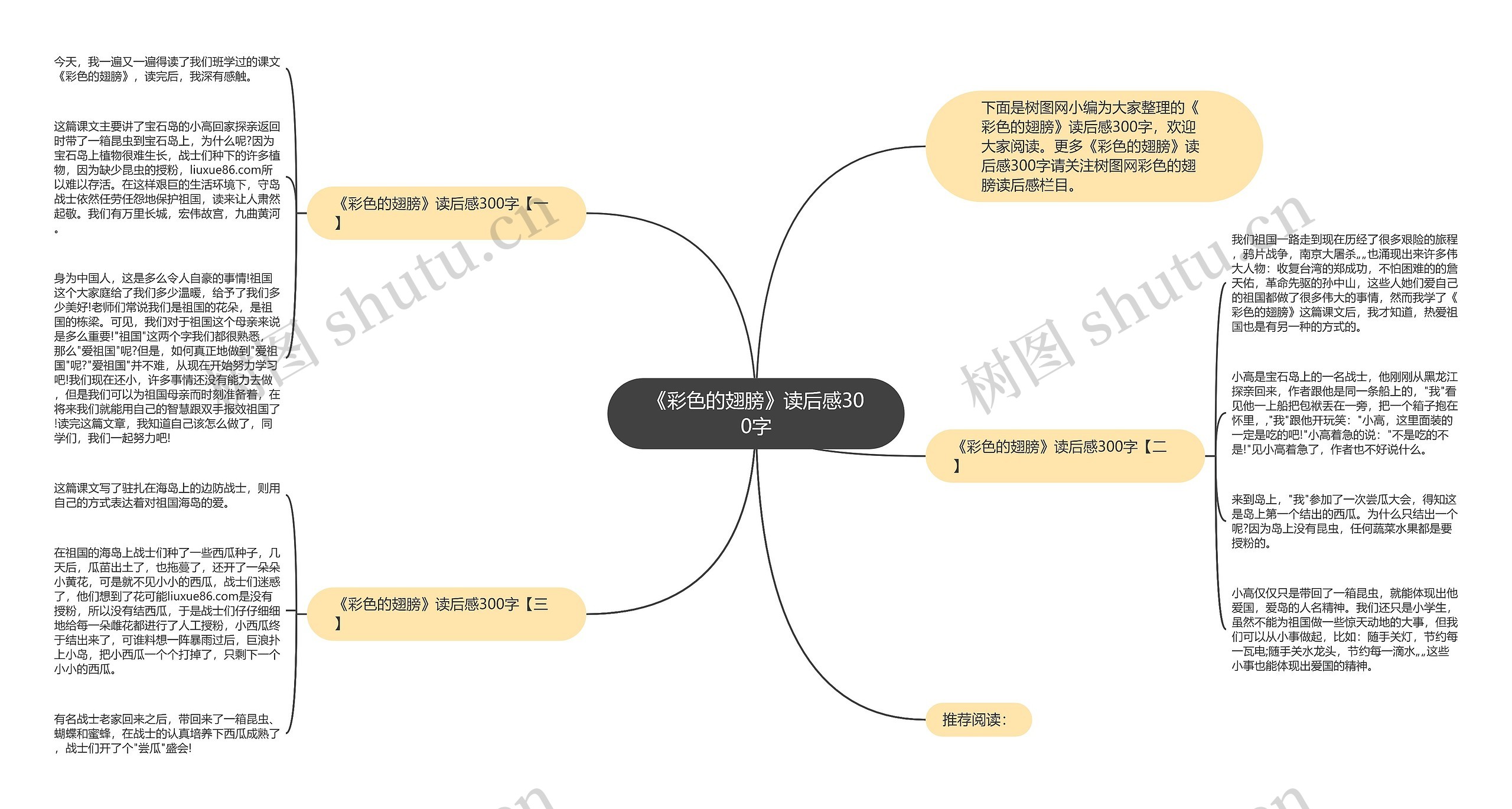 《彩色的翅膀》读后感300字思维导图