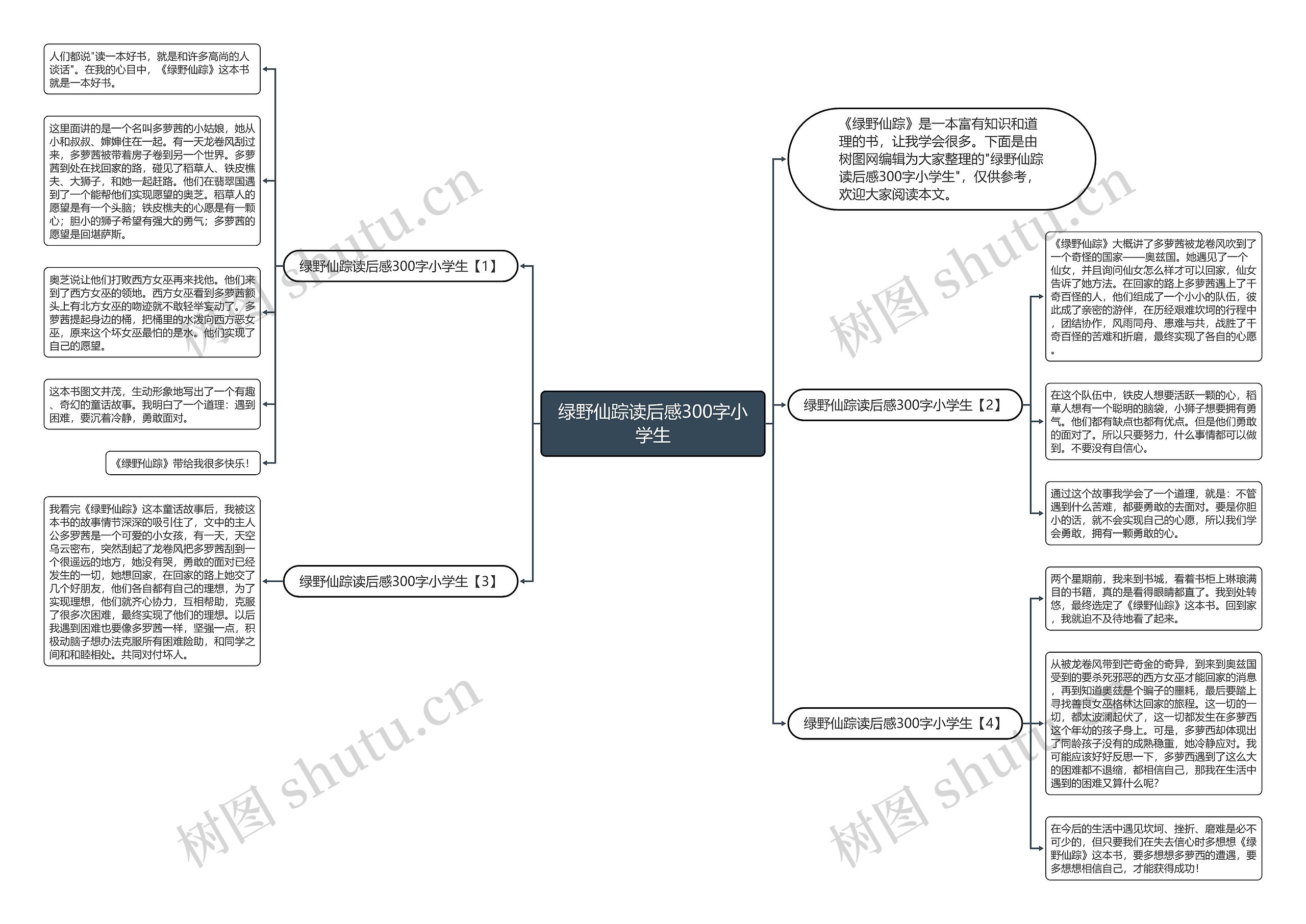 绿野仙踪读后感300字小学生思维导图