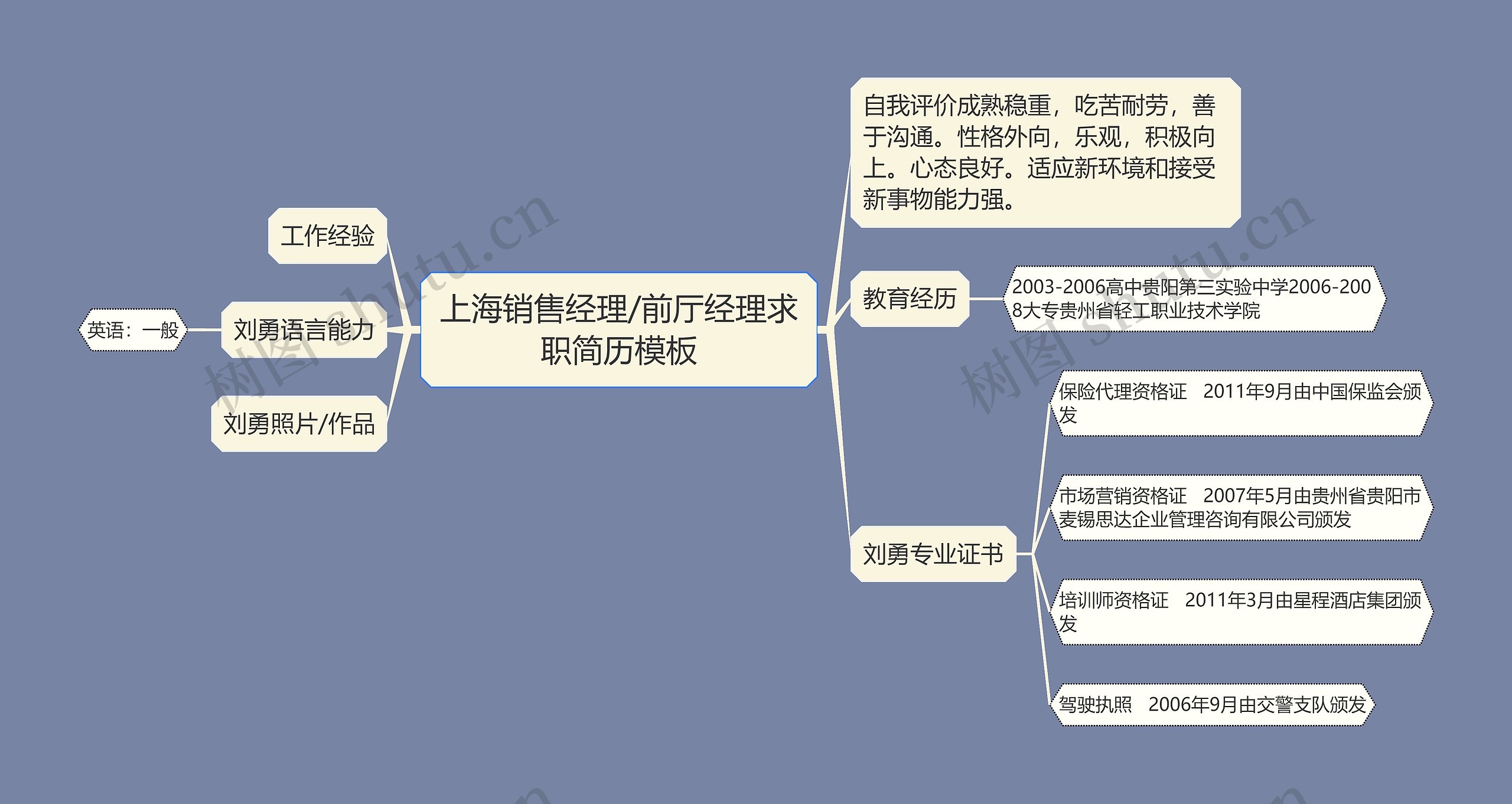 上海销售经理/前厅经理求职简历思维导图