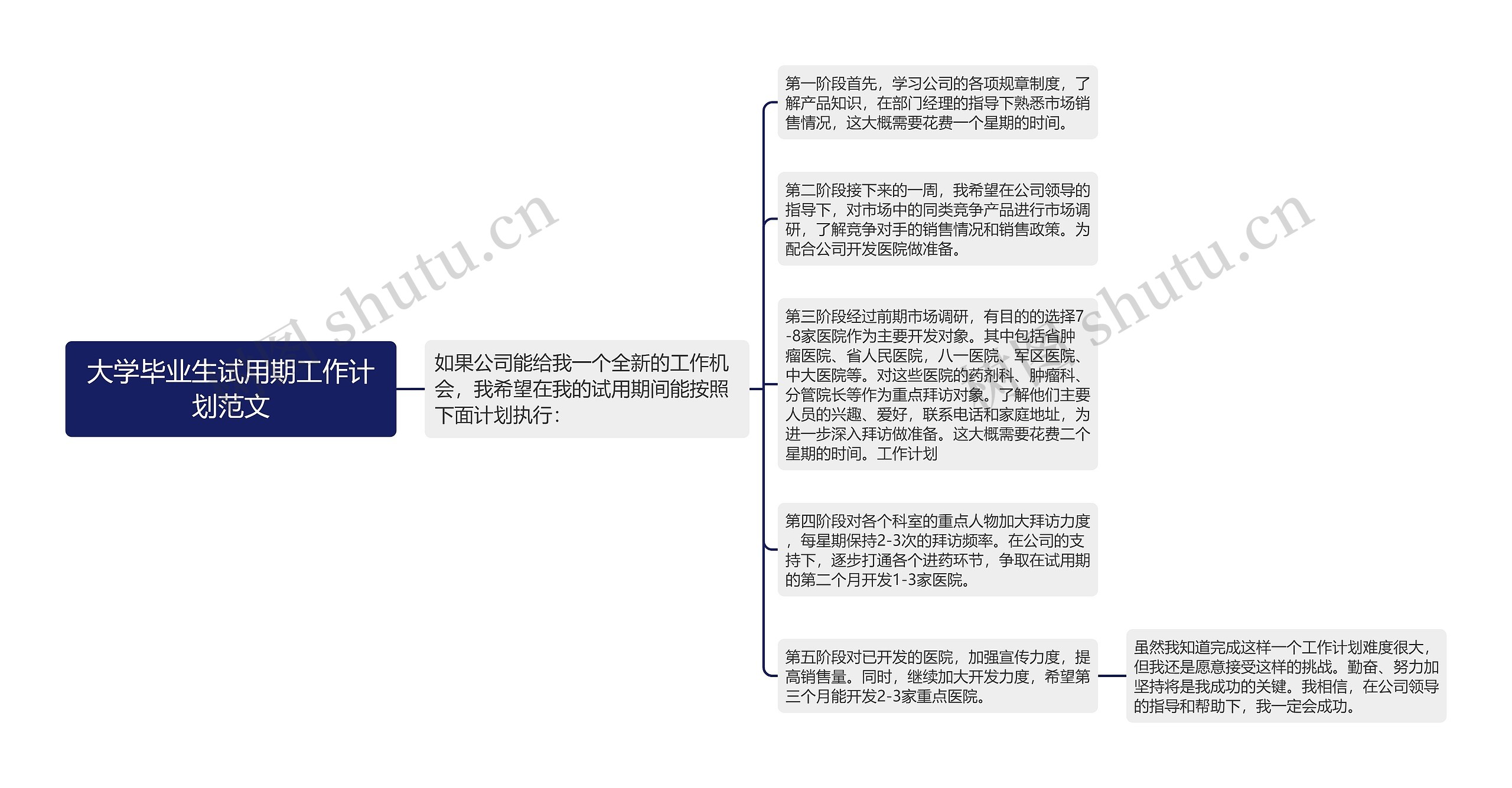 大学毕业生试用期工作计划范文思维导图