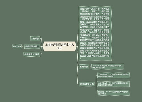 上海英语翻译大学生个人简历