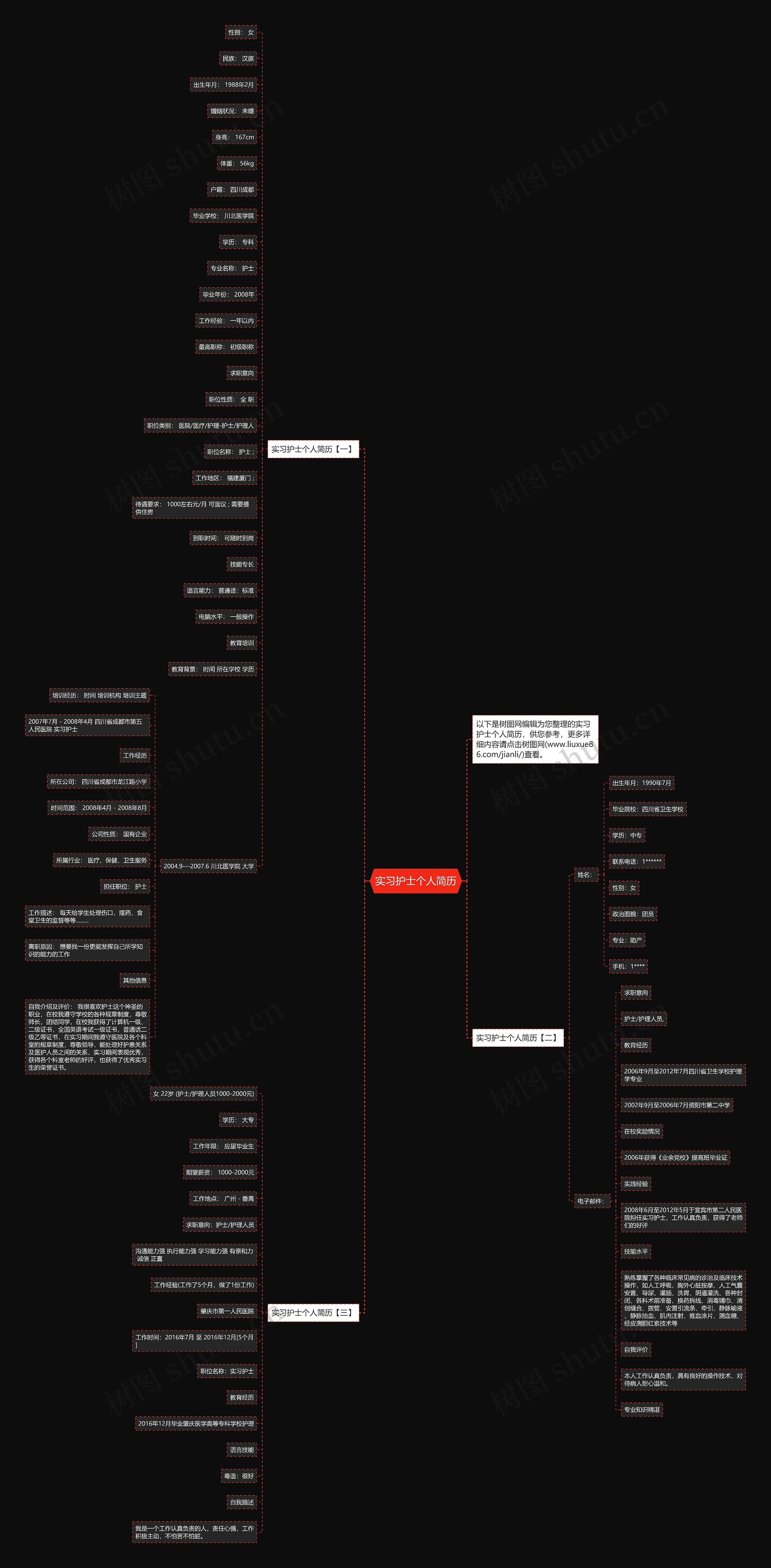 实习护士个人简历思维导图