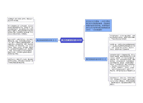 真正的贼读后感300字