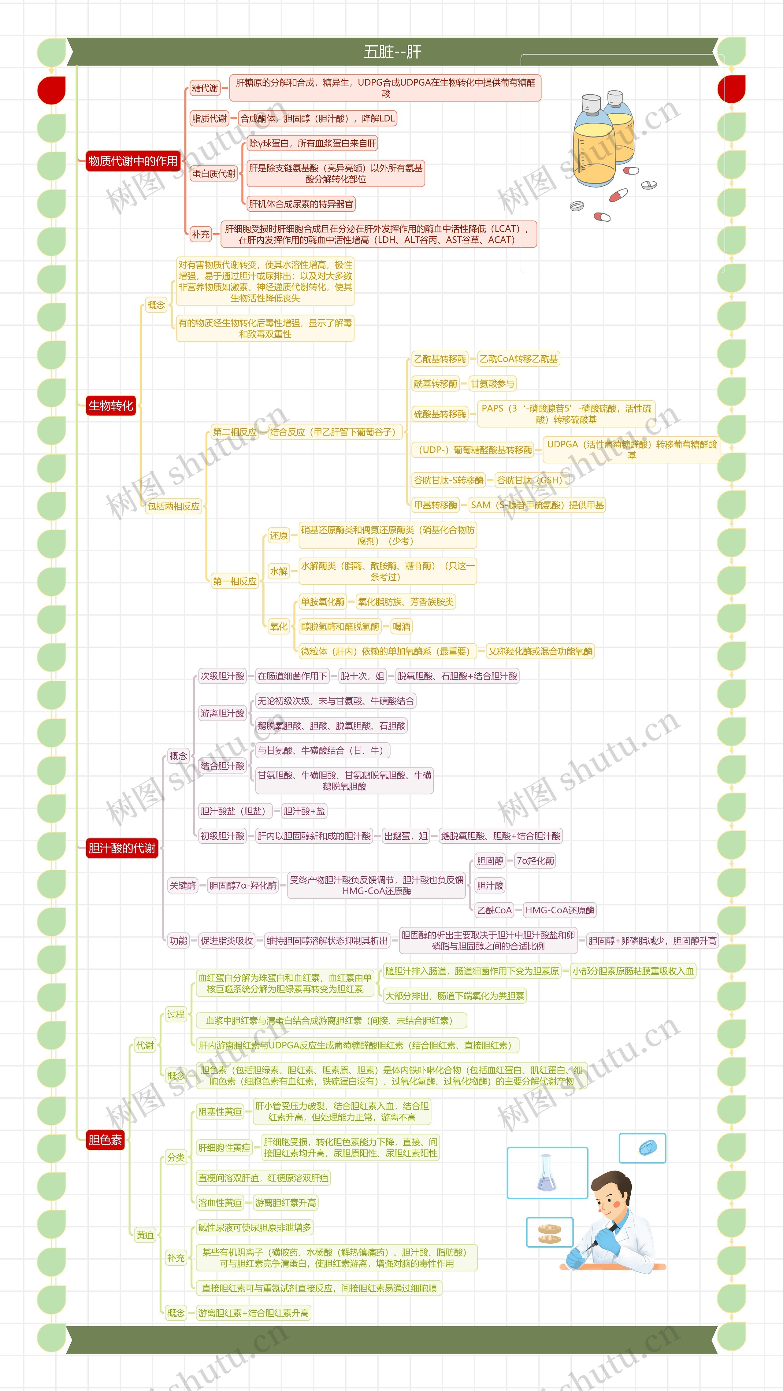 五脏--肝思维导图高清图 五脏--肝思维导图