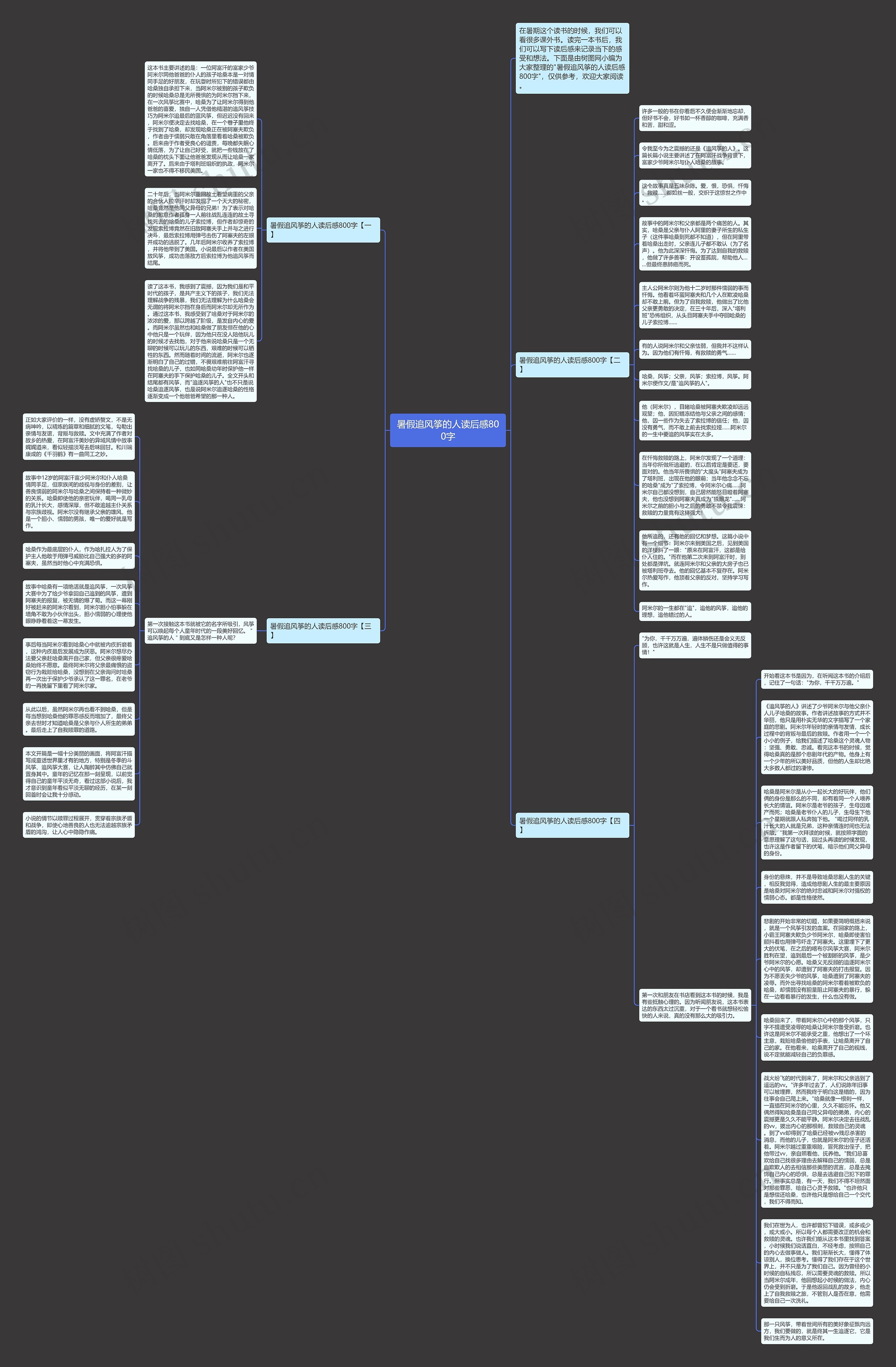暑假追风筝的人读后感800字思维导图