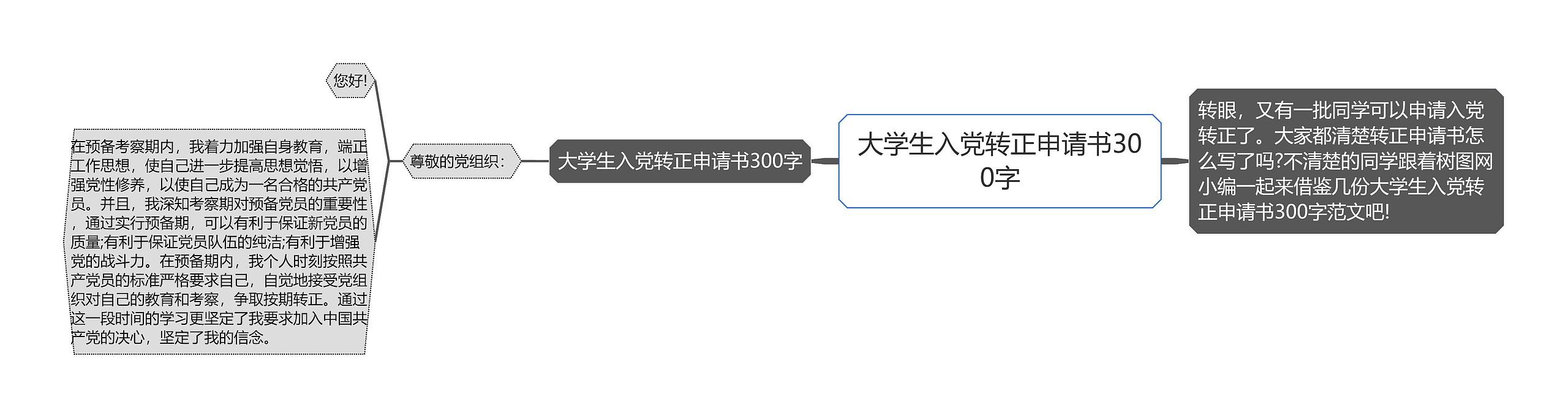 大学生入党转正申请书300字思维导图