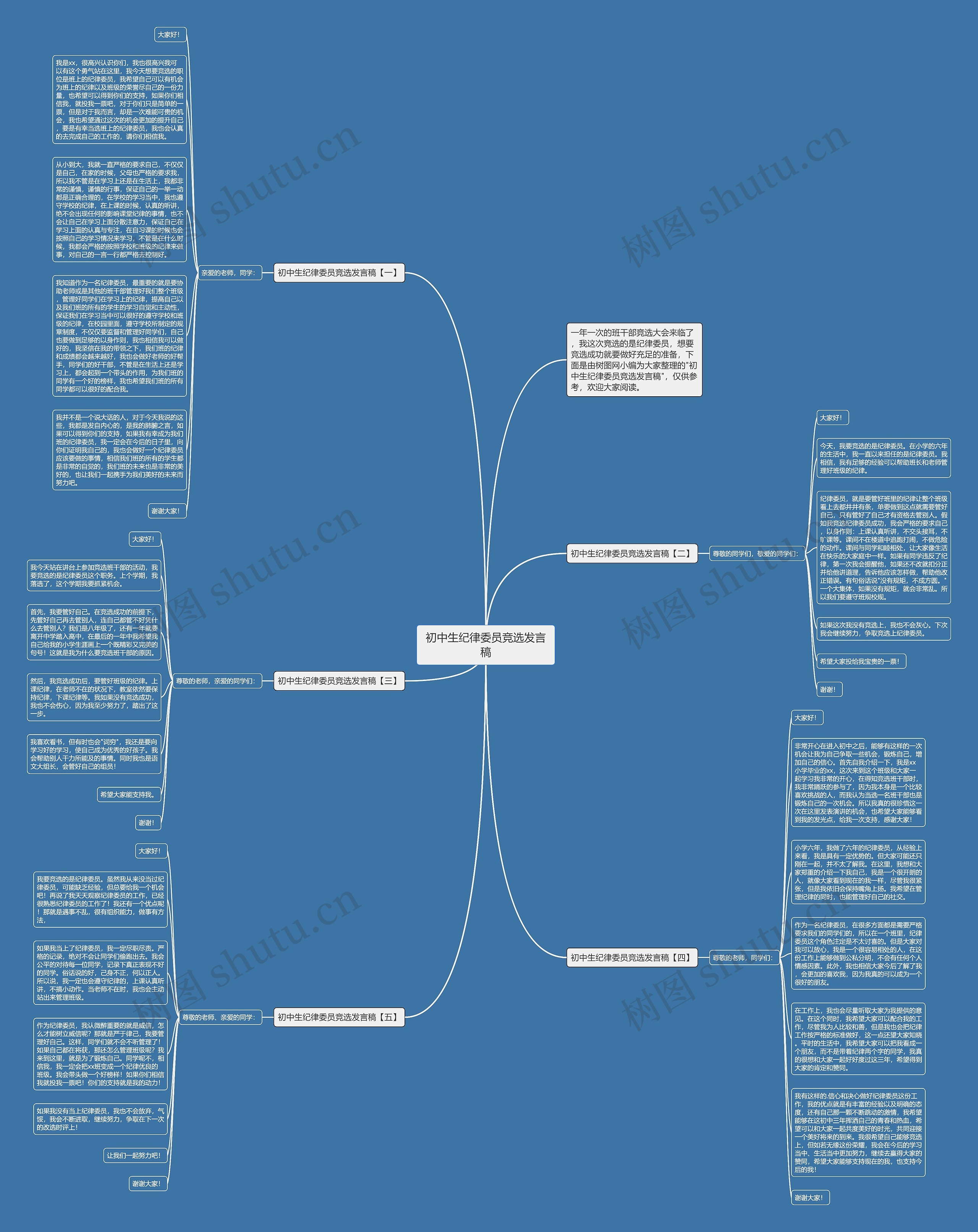 初中生纪律委员竞选发言稿思维导图