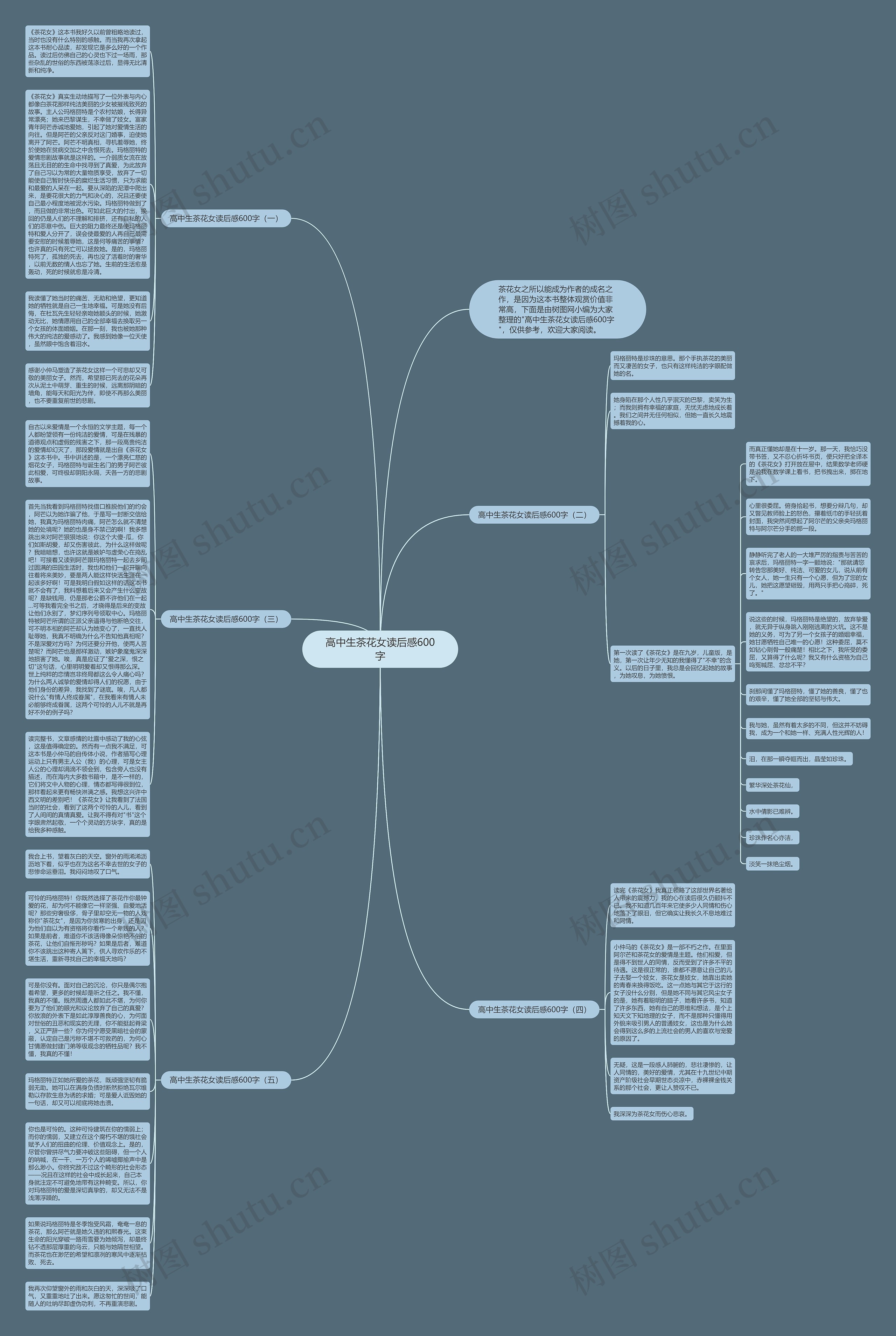 高中生茶花女读后感600字思维导图
