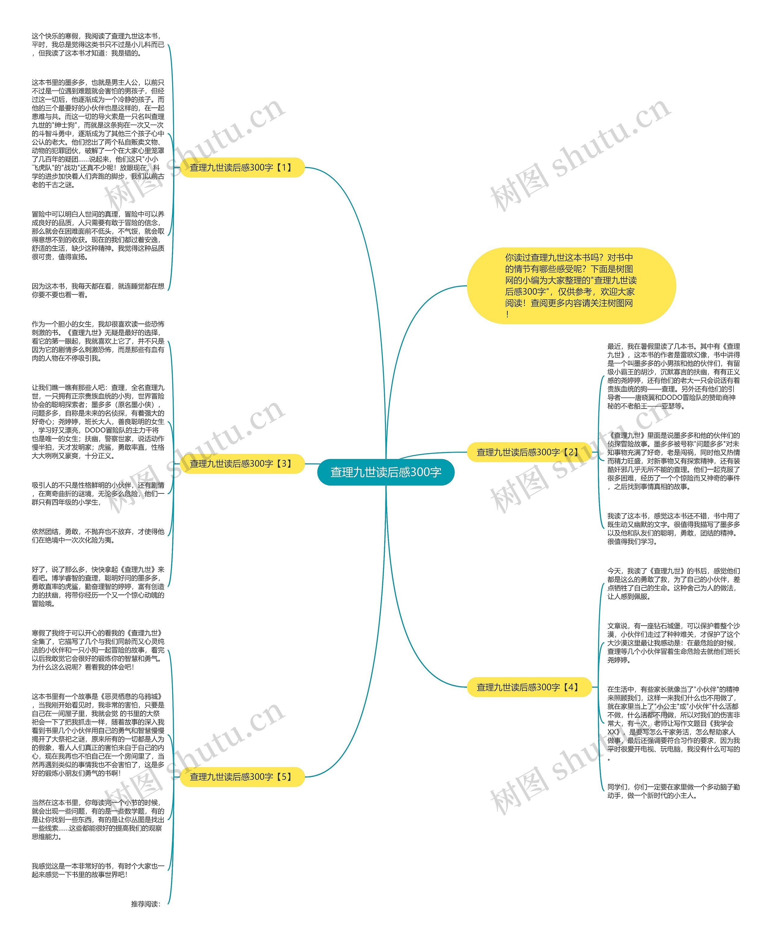 查理九世读后感300字思维导图