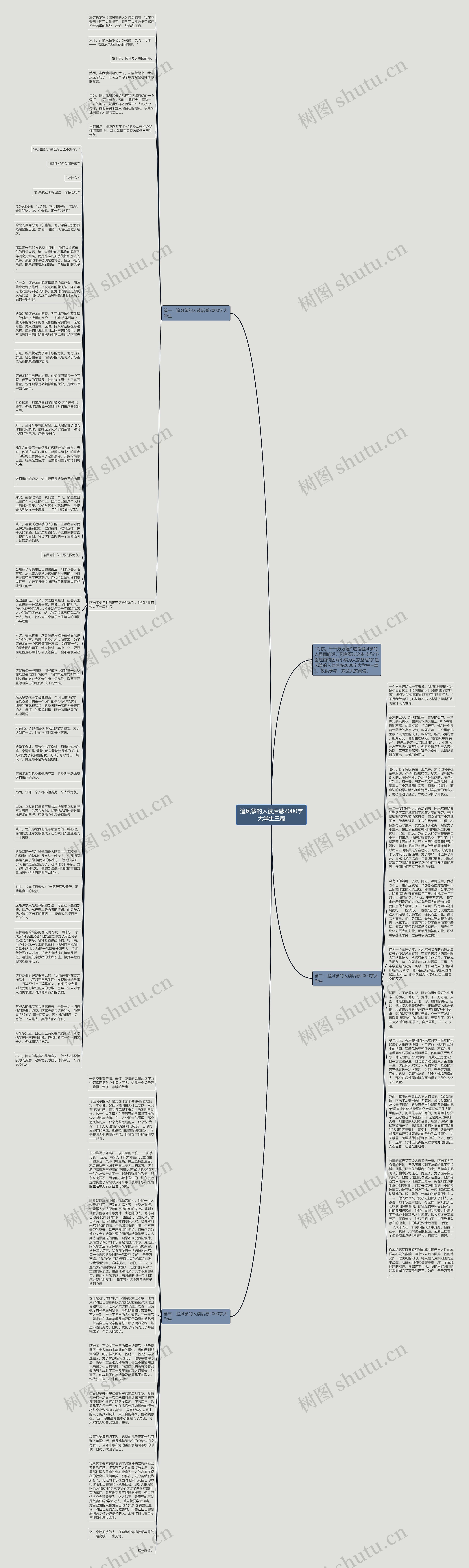 追风筝的人读后感2000字大学生三篇思维导图