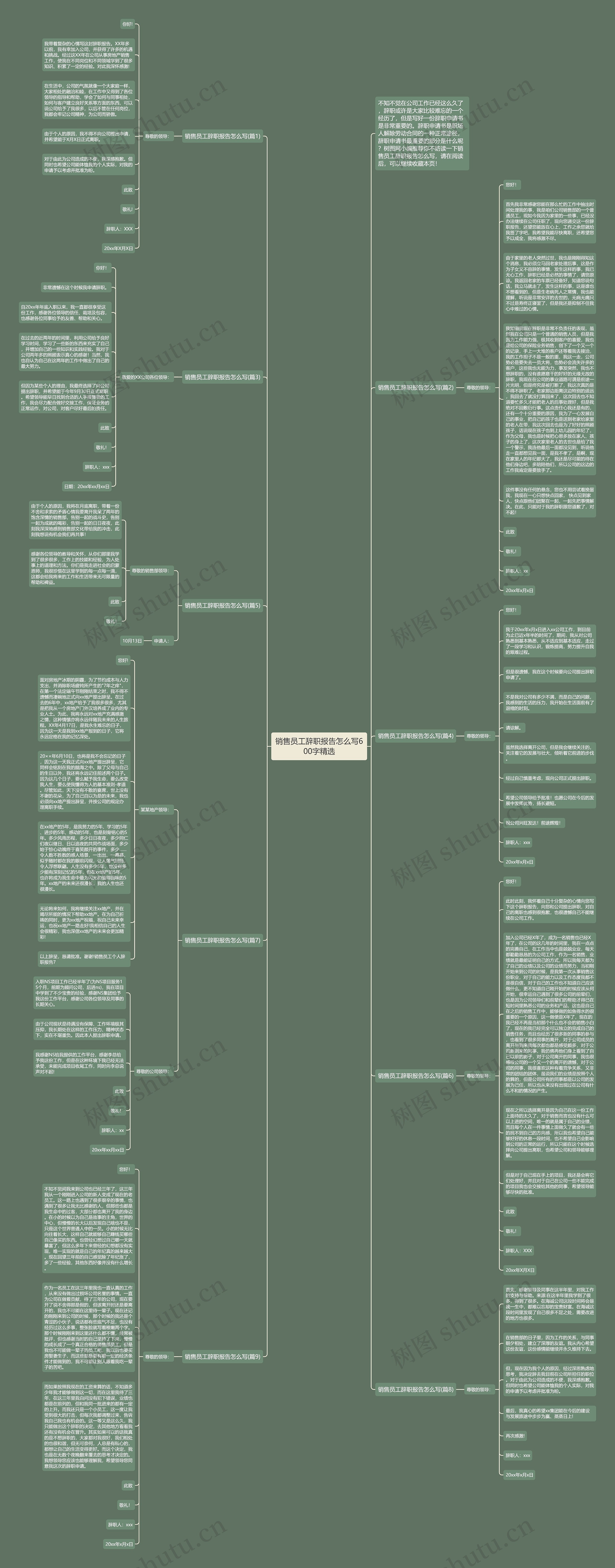 销售员工辞职报告怎么写600字精选思维导图