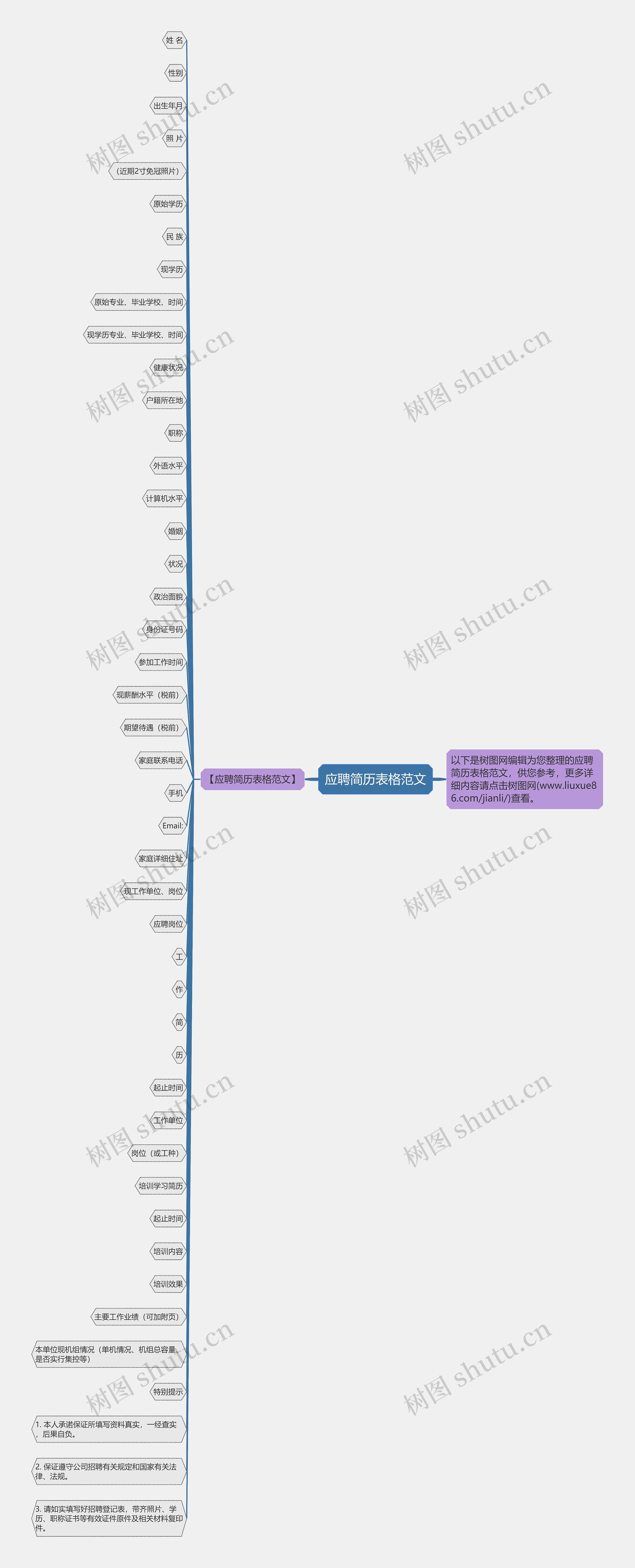 应聘简历表格范文思维导图