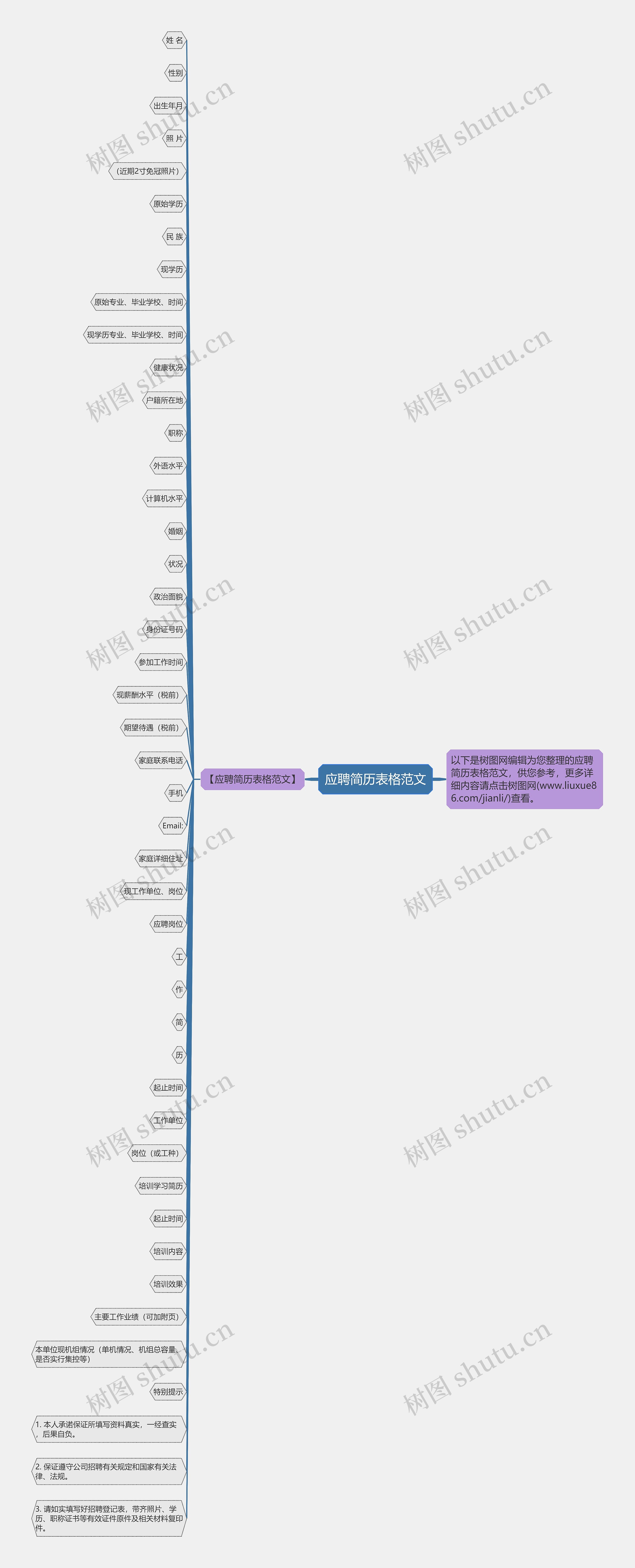 应聘简历表格范文思维导图高清图 应聘简历表格范文思维导图