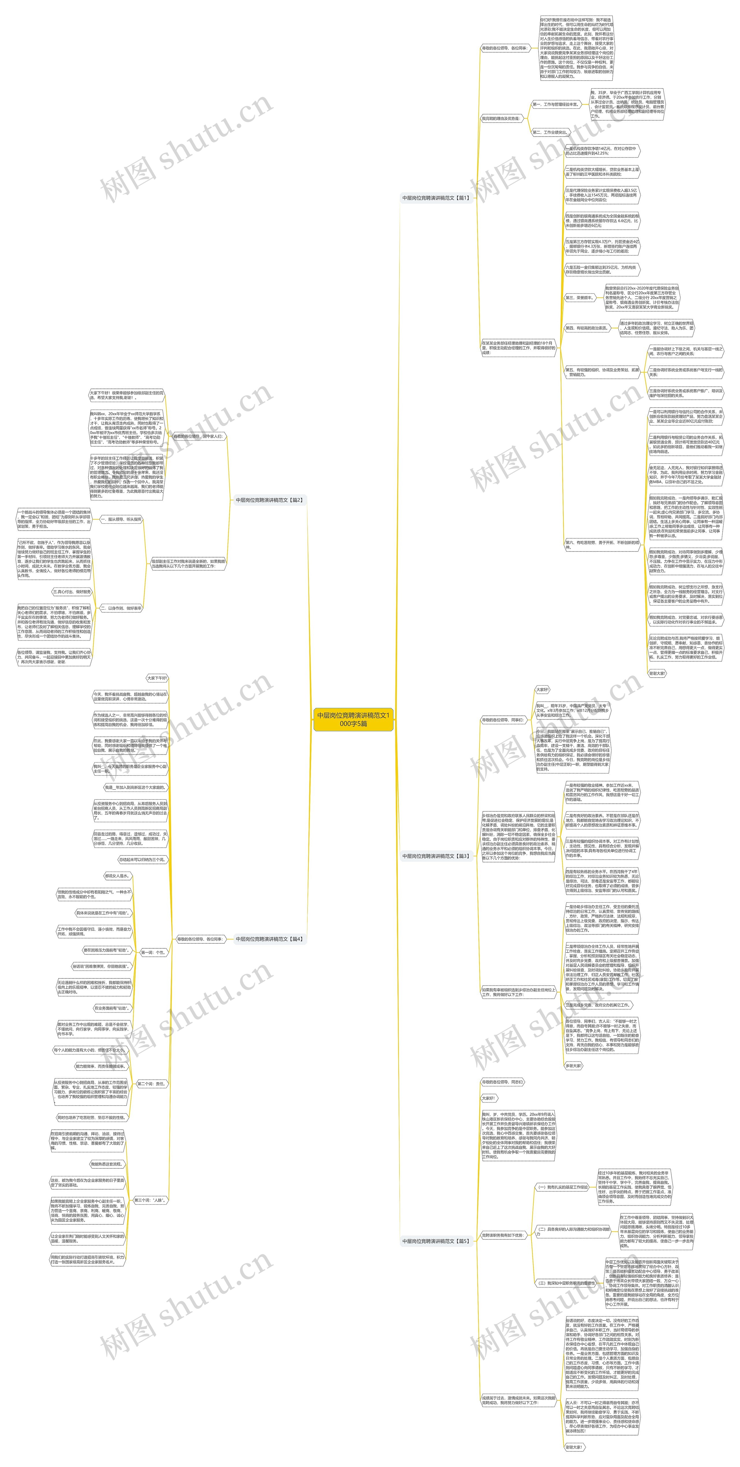中层岗位竞聘演讲稿范文1000字5篇思维导图