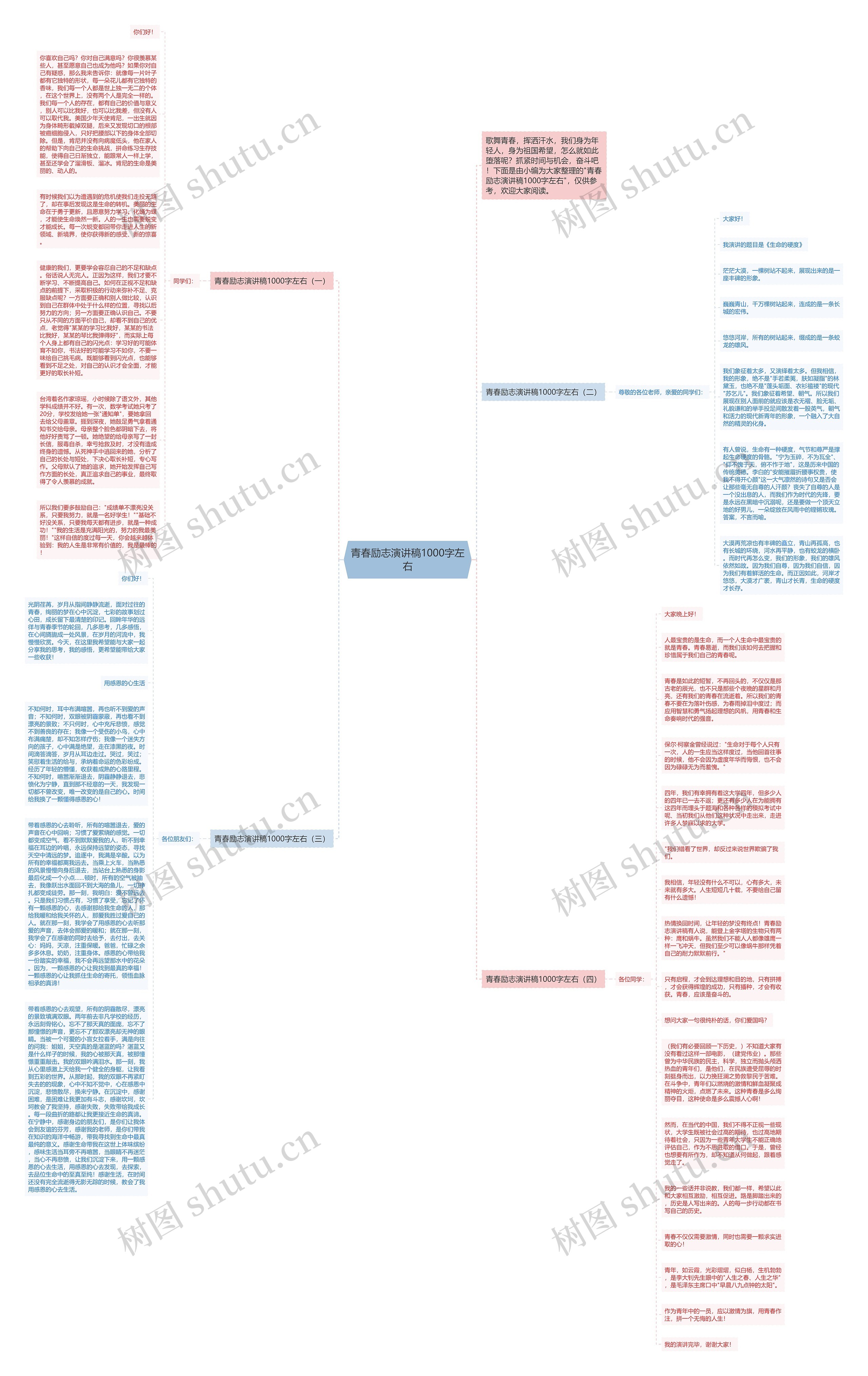 青春励志演讲稿1000字左右思维导图