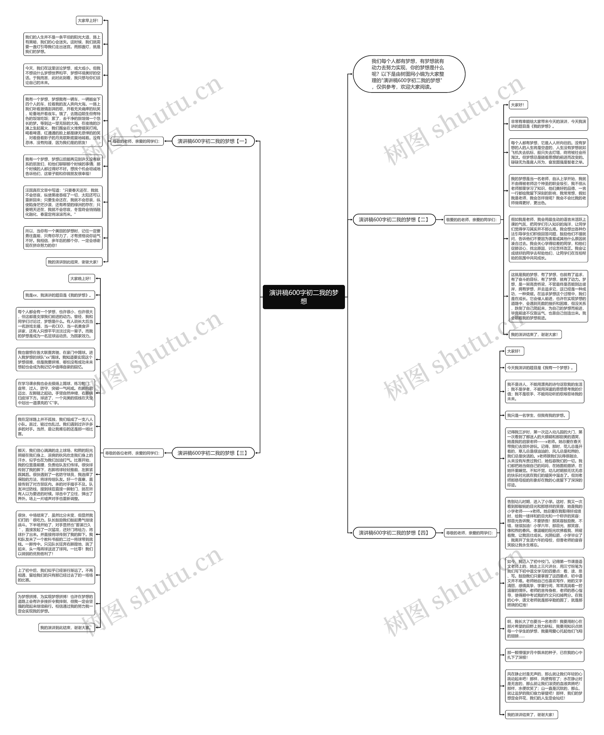 演讲稿600字初二我的梦想思维导图