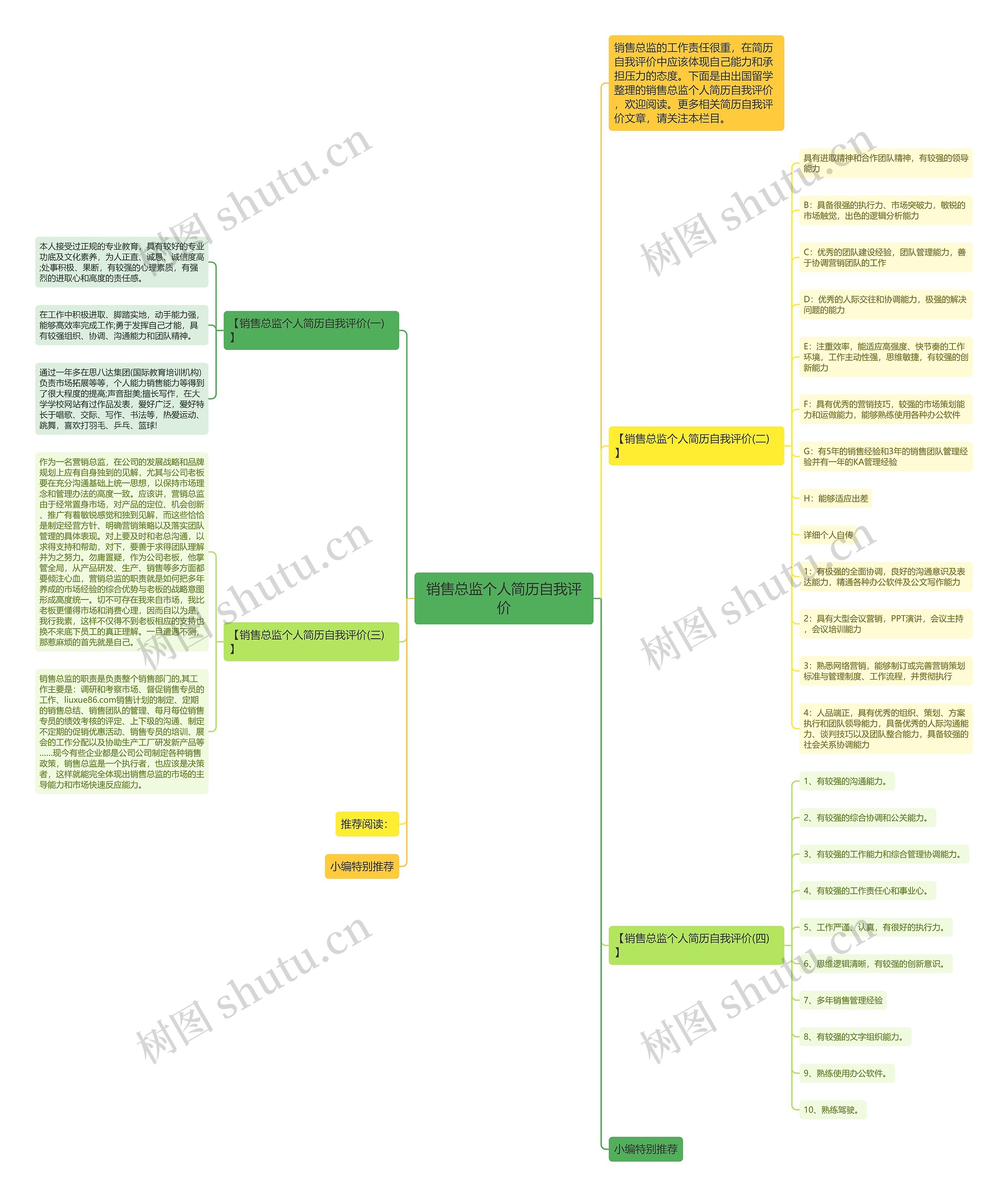 销售总监个人简历自我评价思维导图
