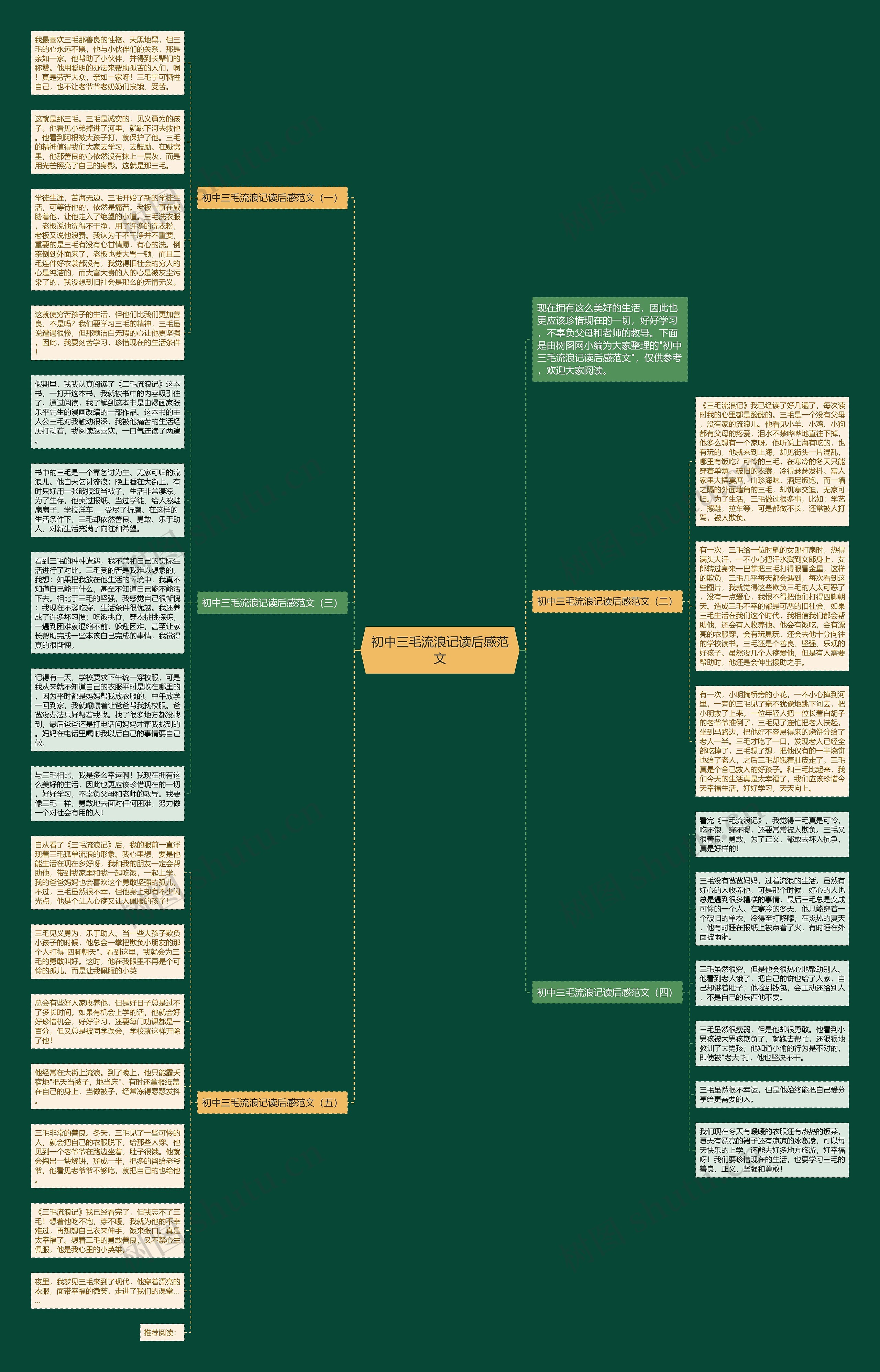 初中三毛流浪记读后感范文思维导图