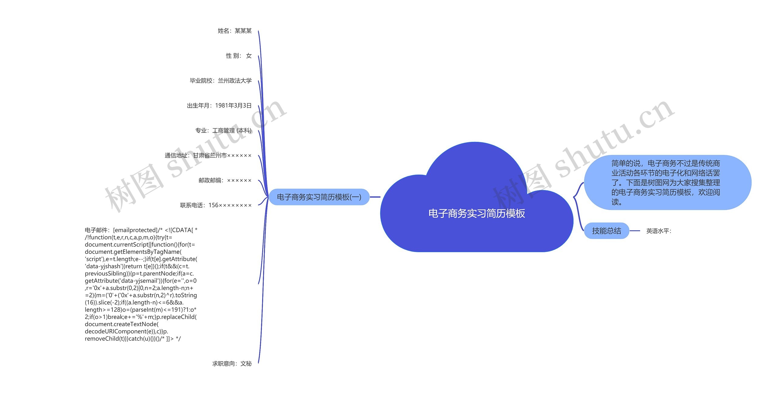电子商务实习简历模板