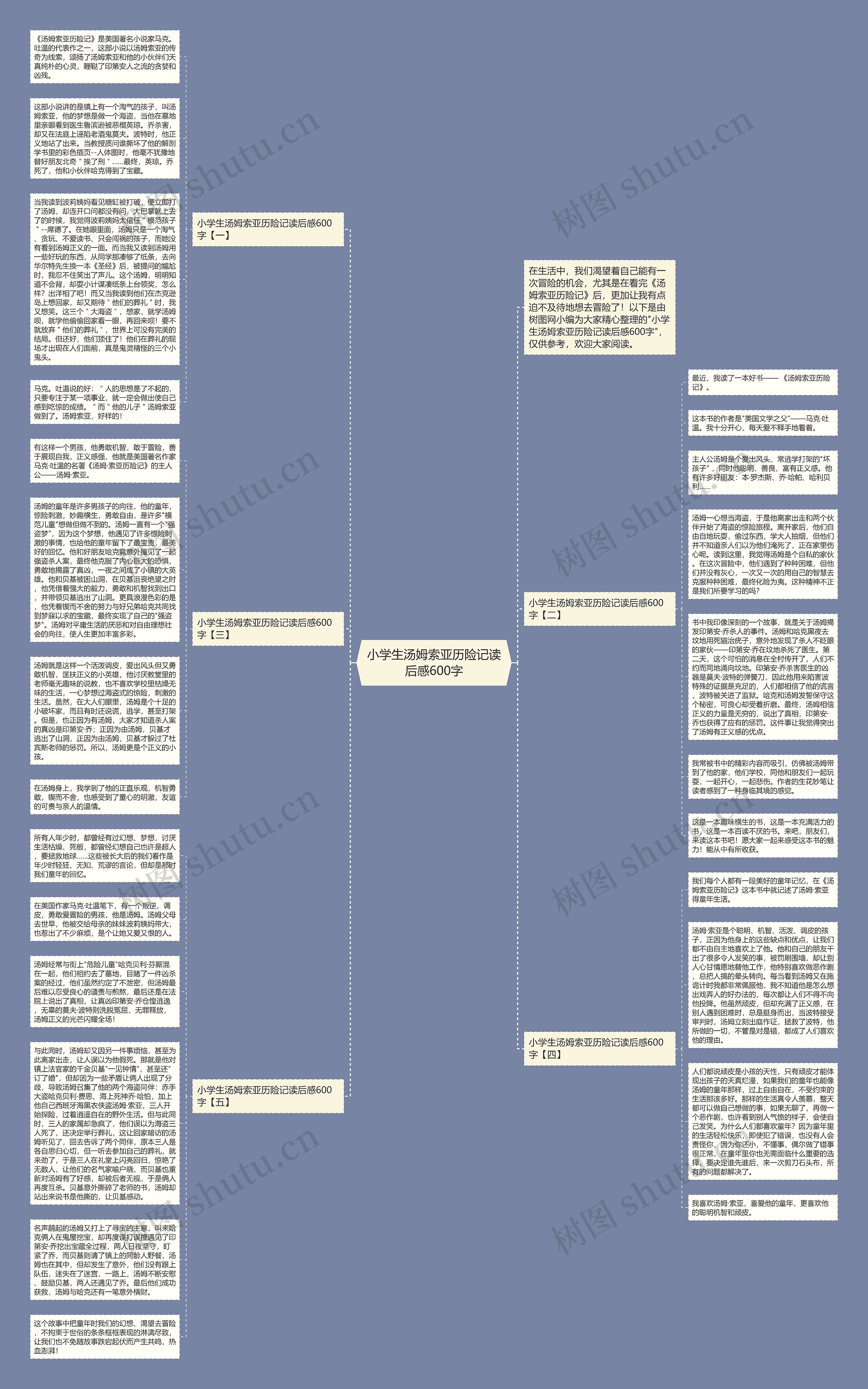 小学生汤姆索亚历险记读后感600字思维导图
