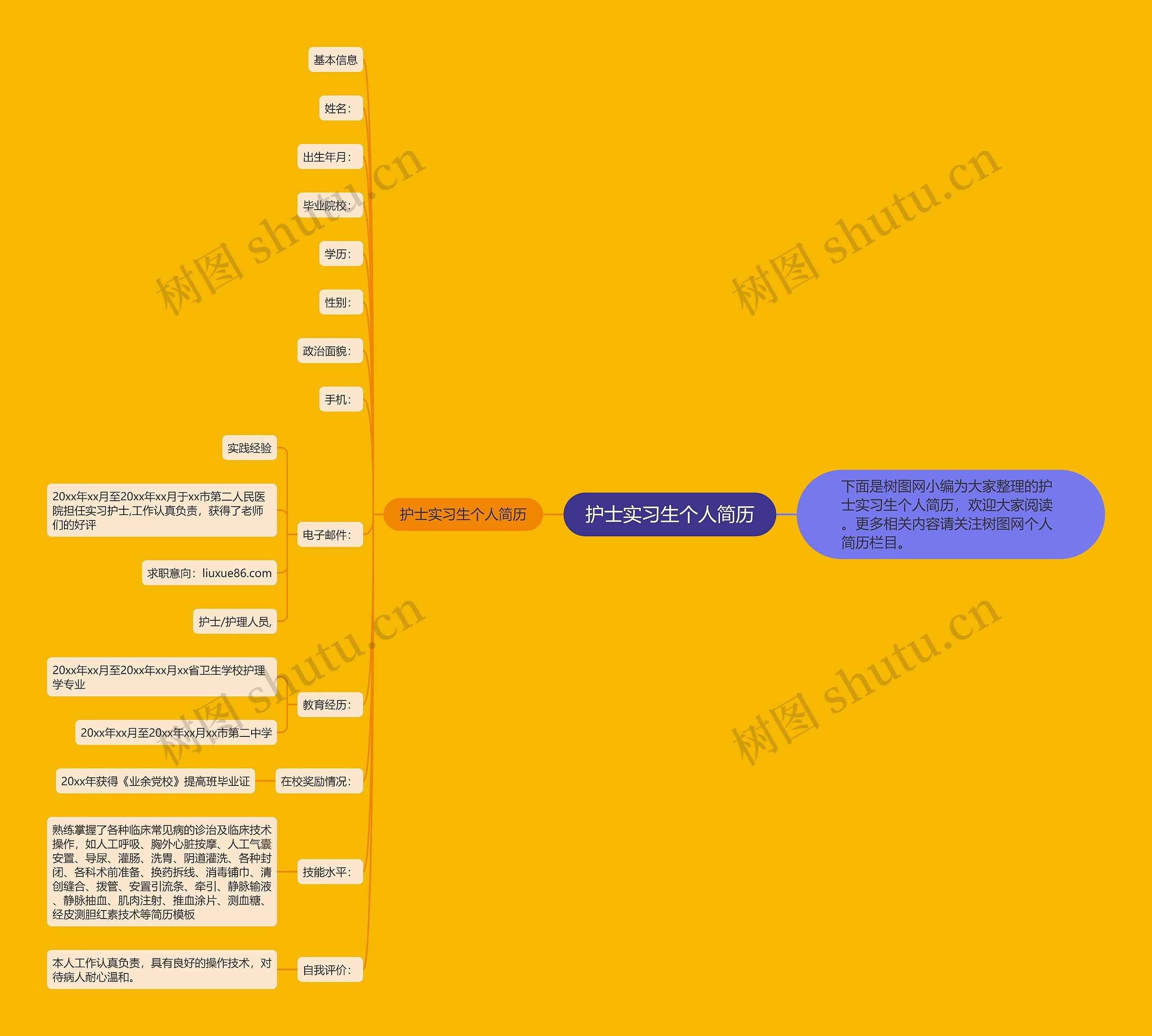 护士实习生个人简历思维导图