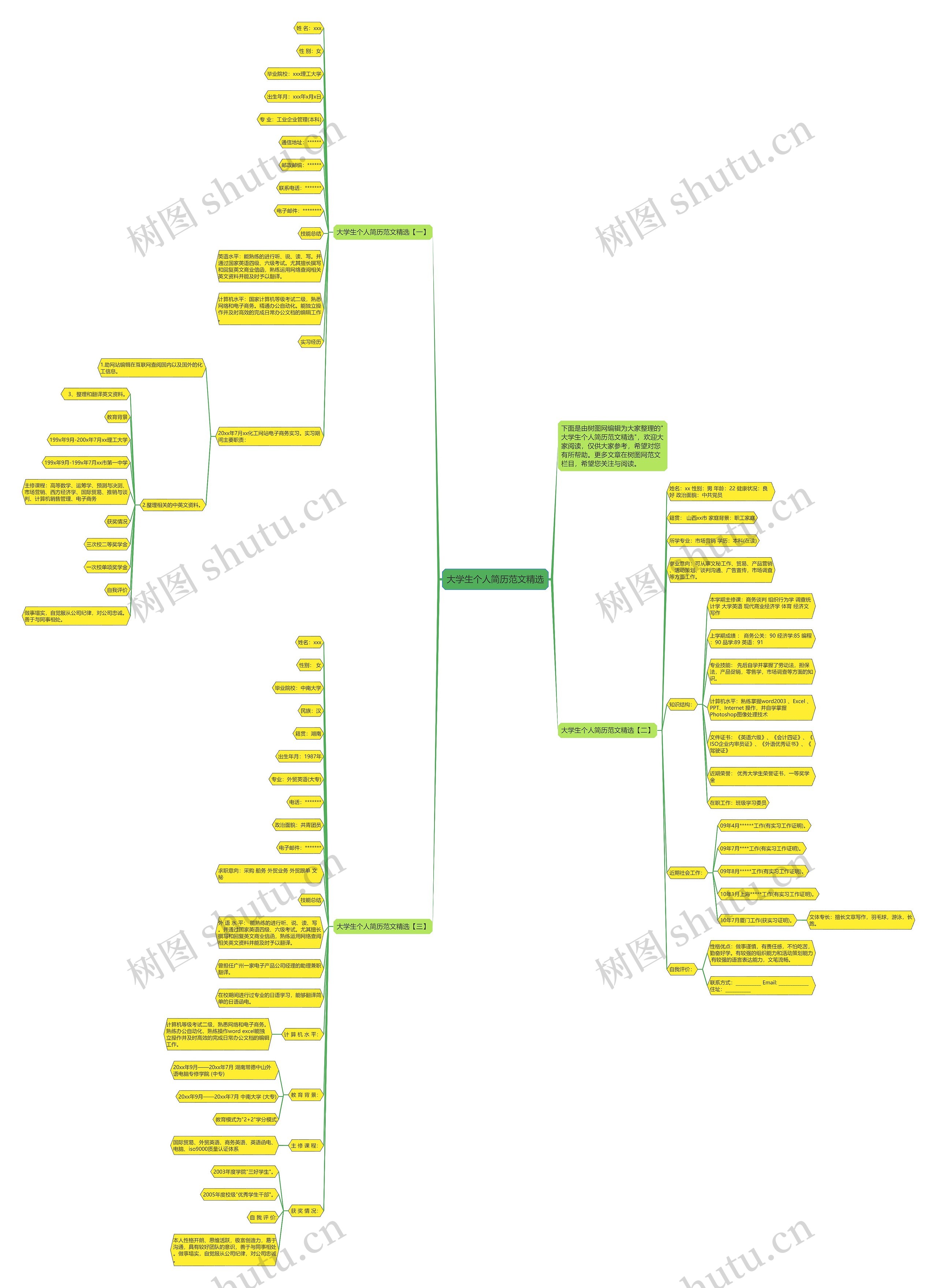 大学生个人简历范文精选思维导图