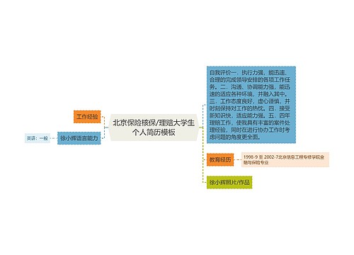北京保险核保/理赔大学生个人简历模板