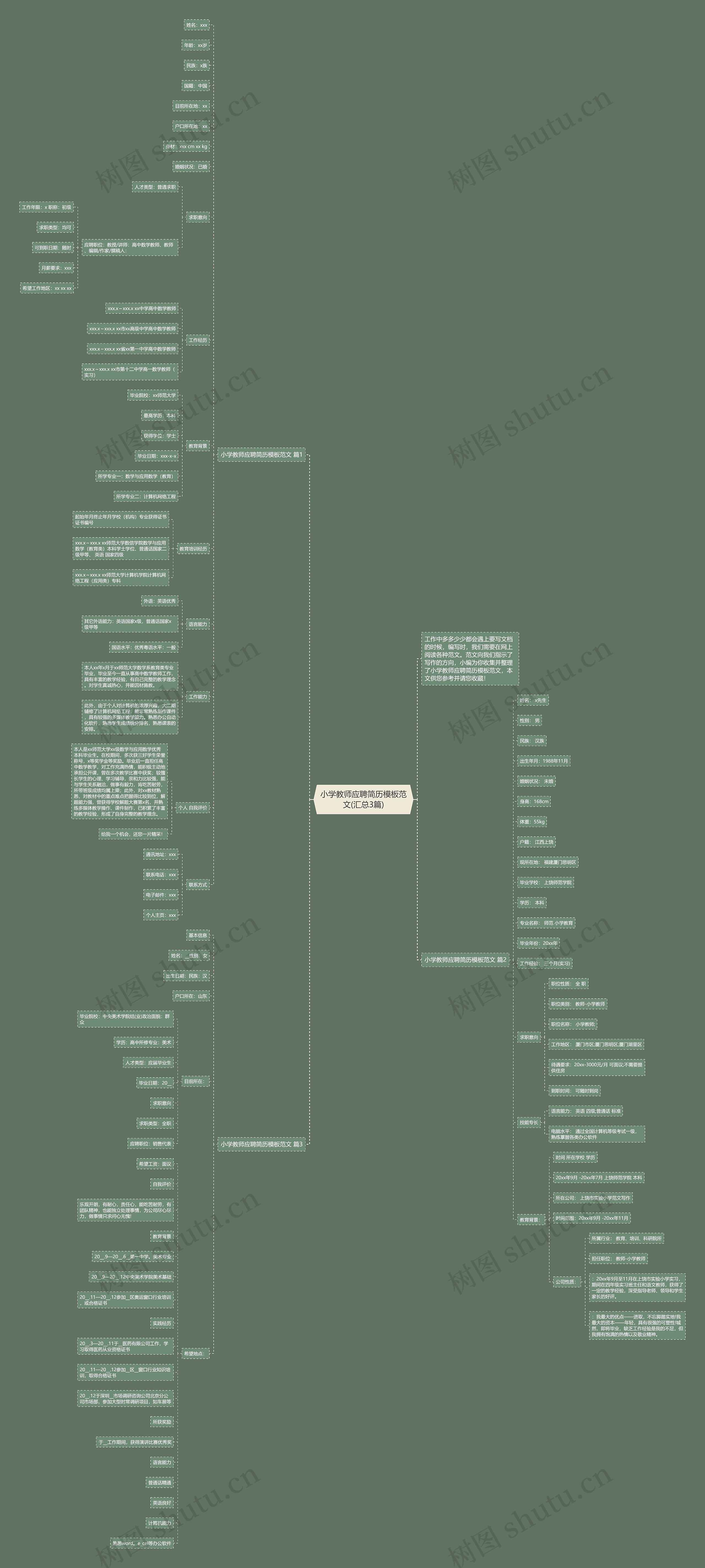 小学教师应聘简历范文(汇总3篇)思维导图