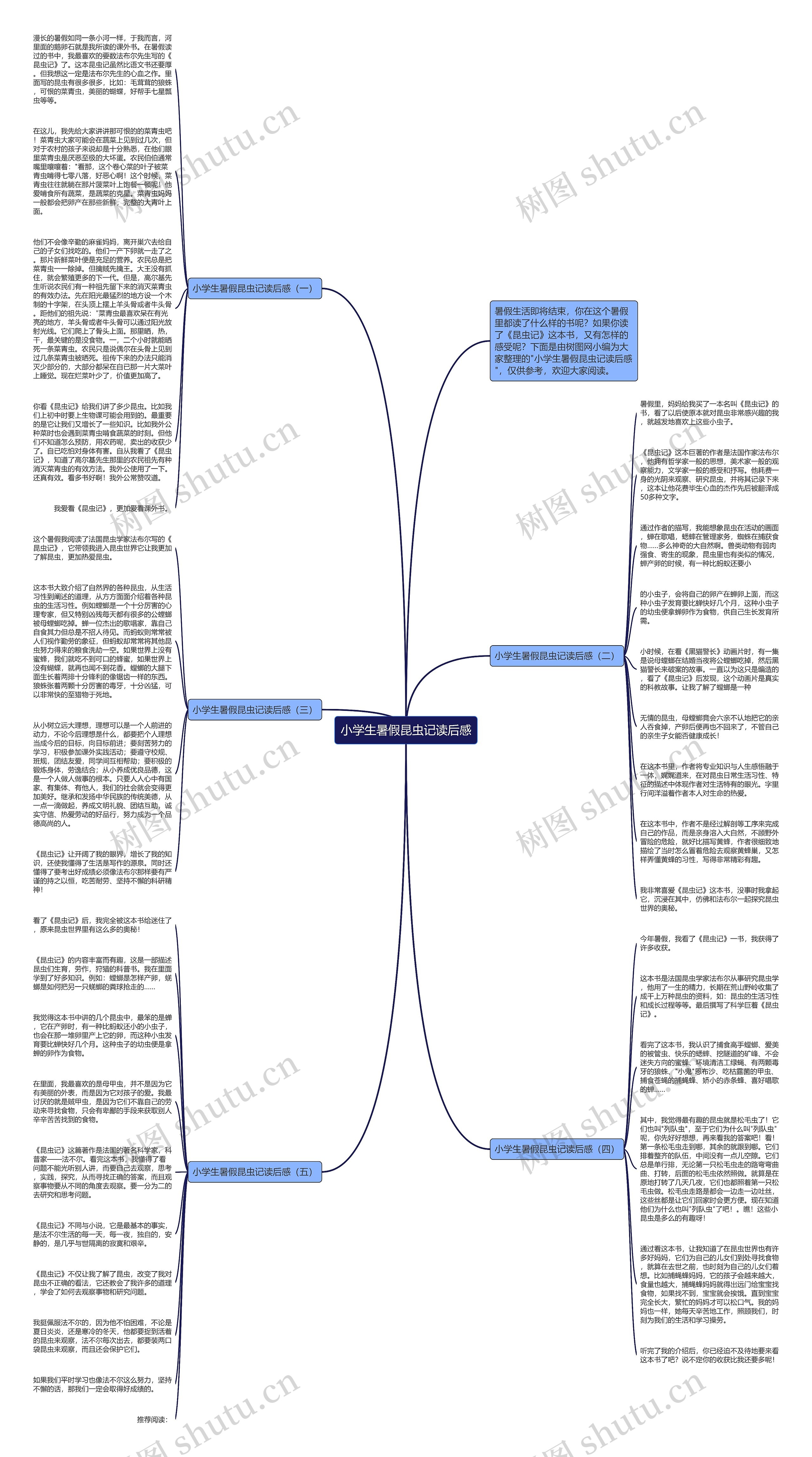 小学生暑假昆虫记读后感思维导图