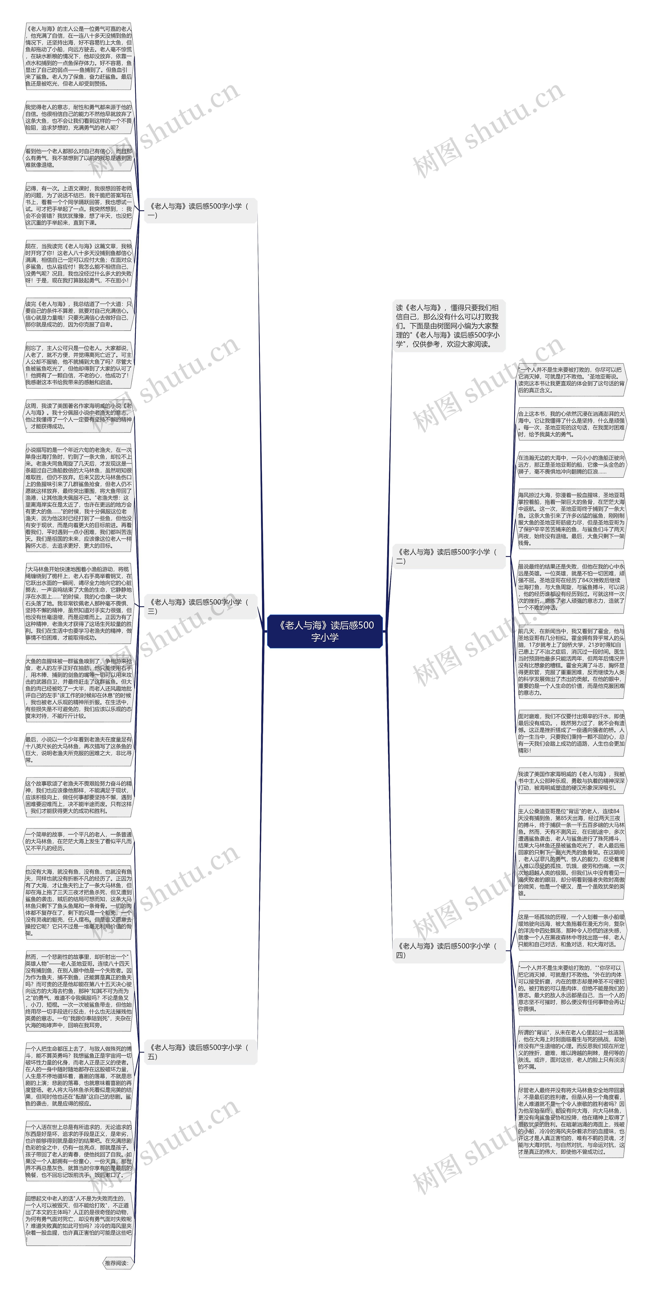《老人与海》读后感500字小学思维导图