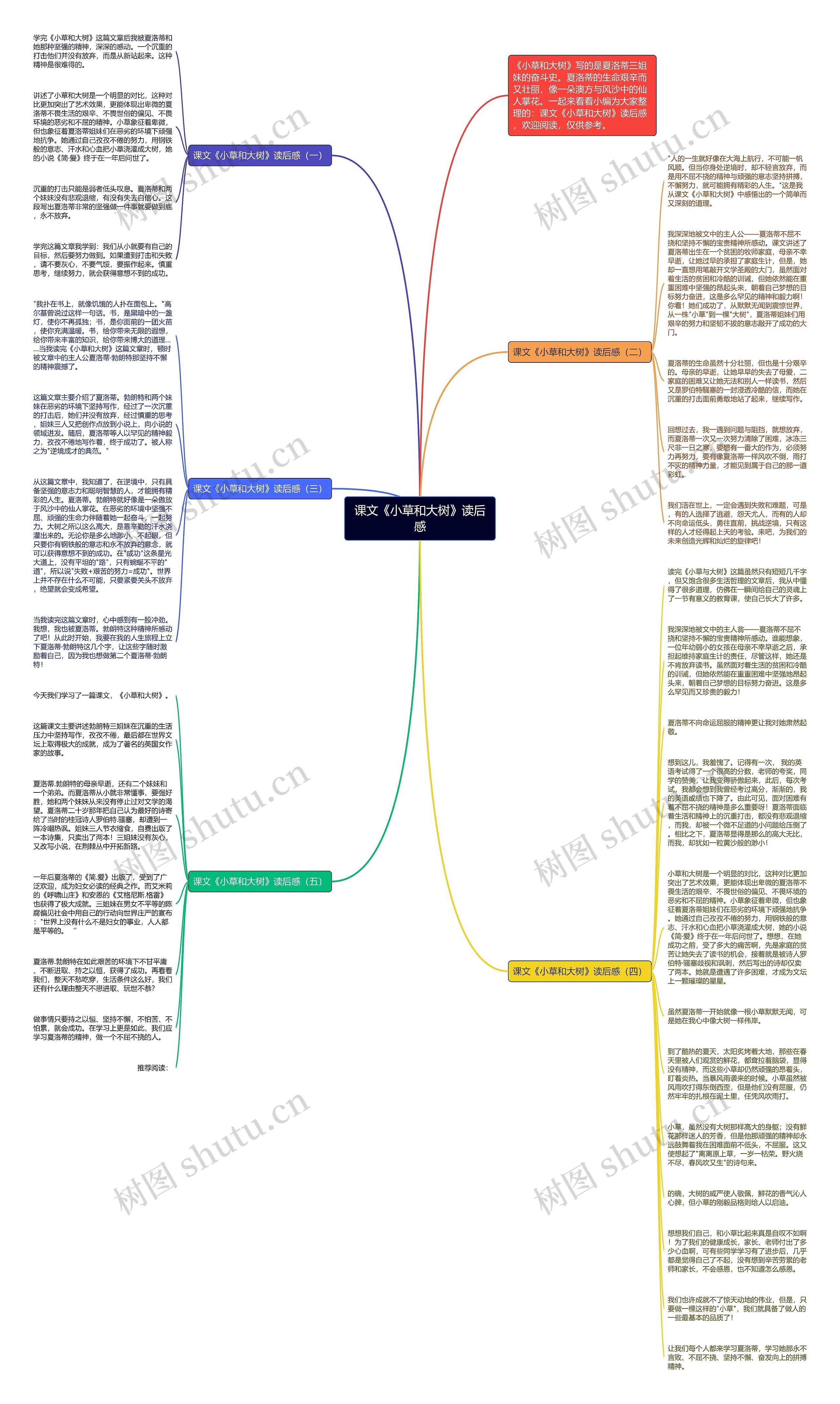 课文《小草和大树》读后感思维导图