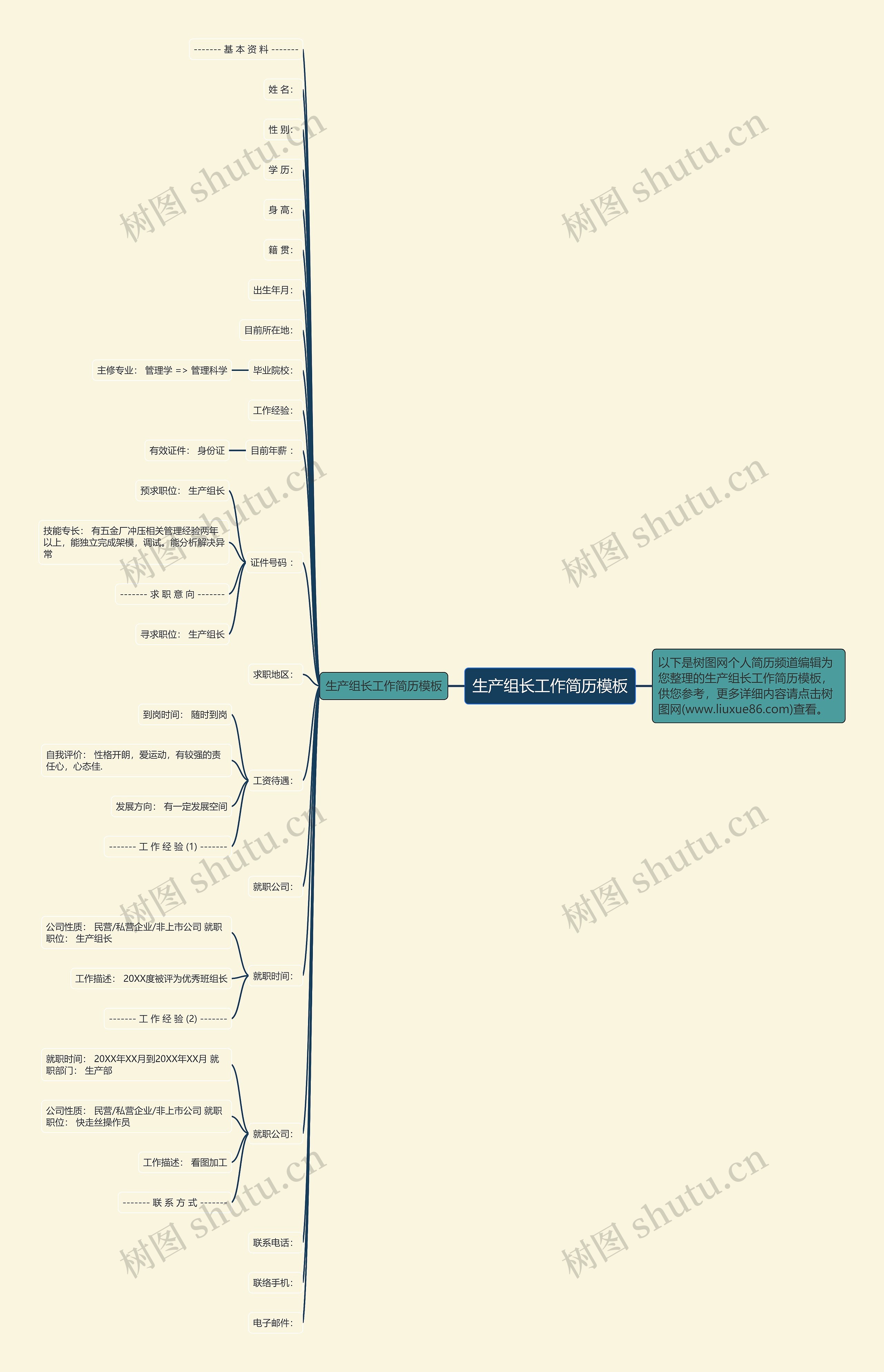 生产组长工作简历思维导图