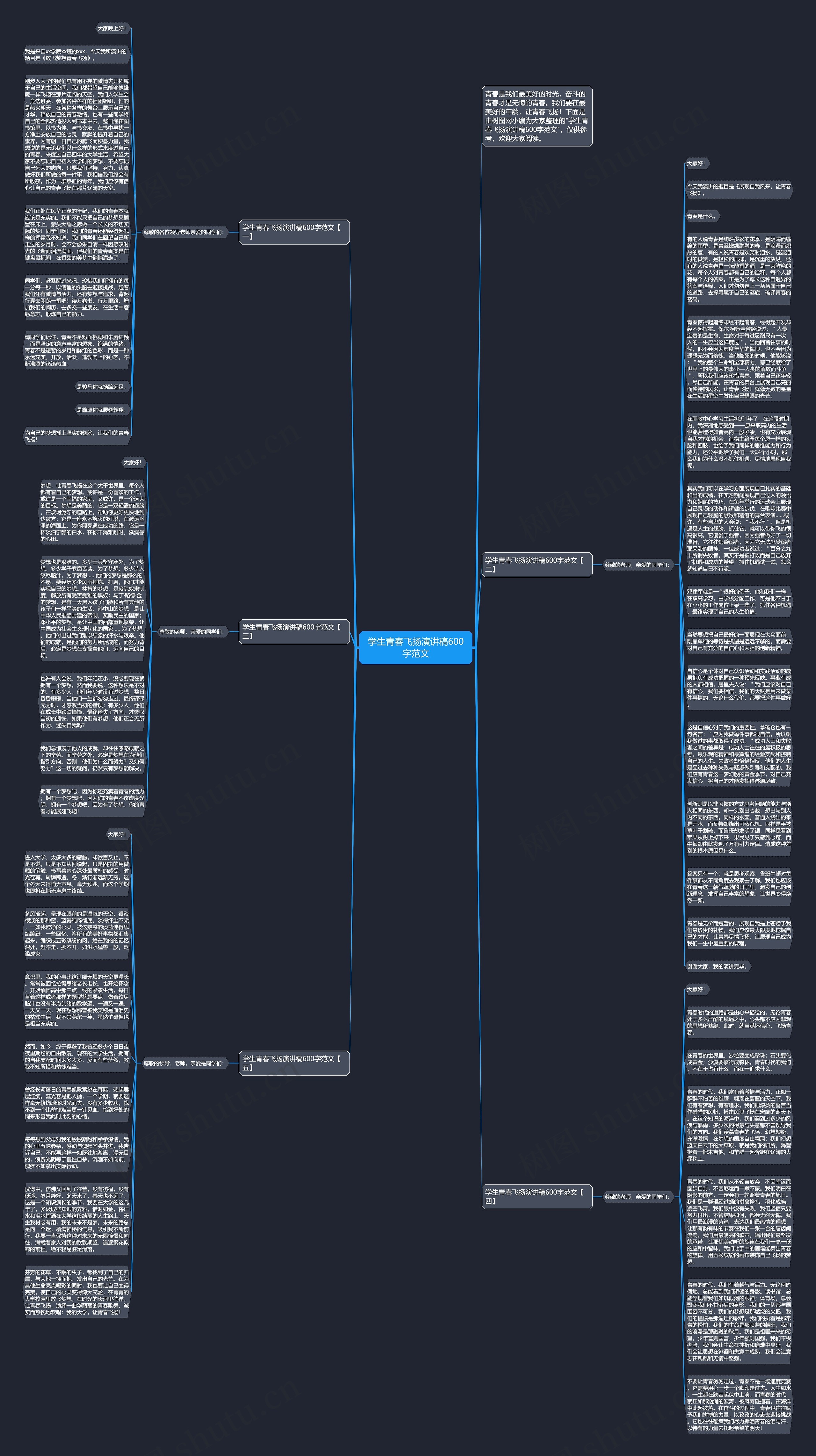 学生青春飞扬演讲稿600字范文思维导图