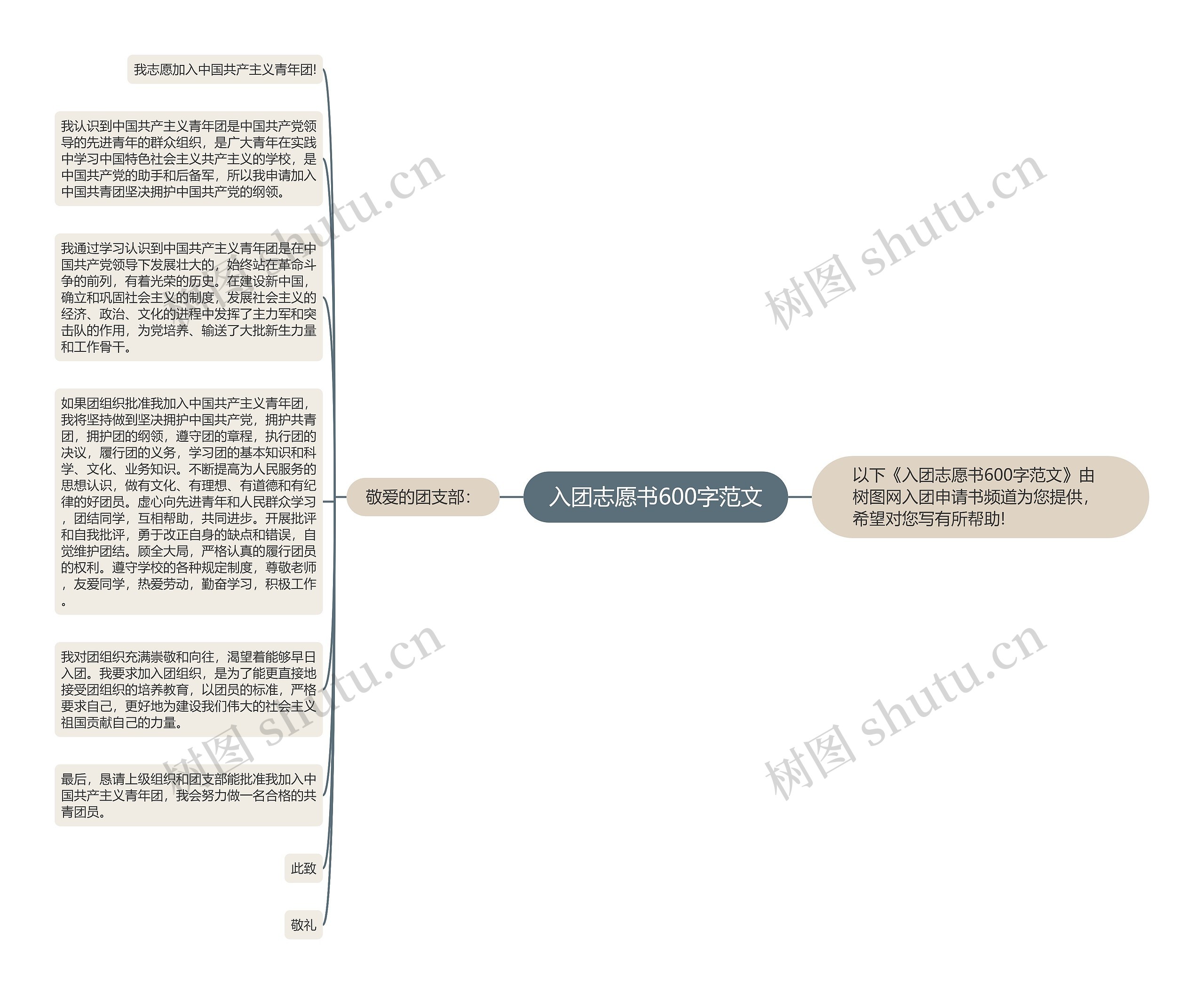 入团志愿书600字范文思维导图