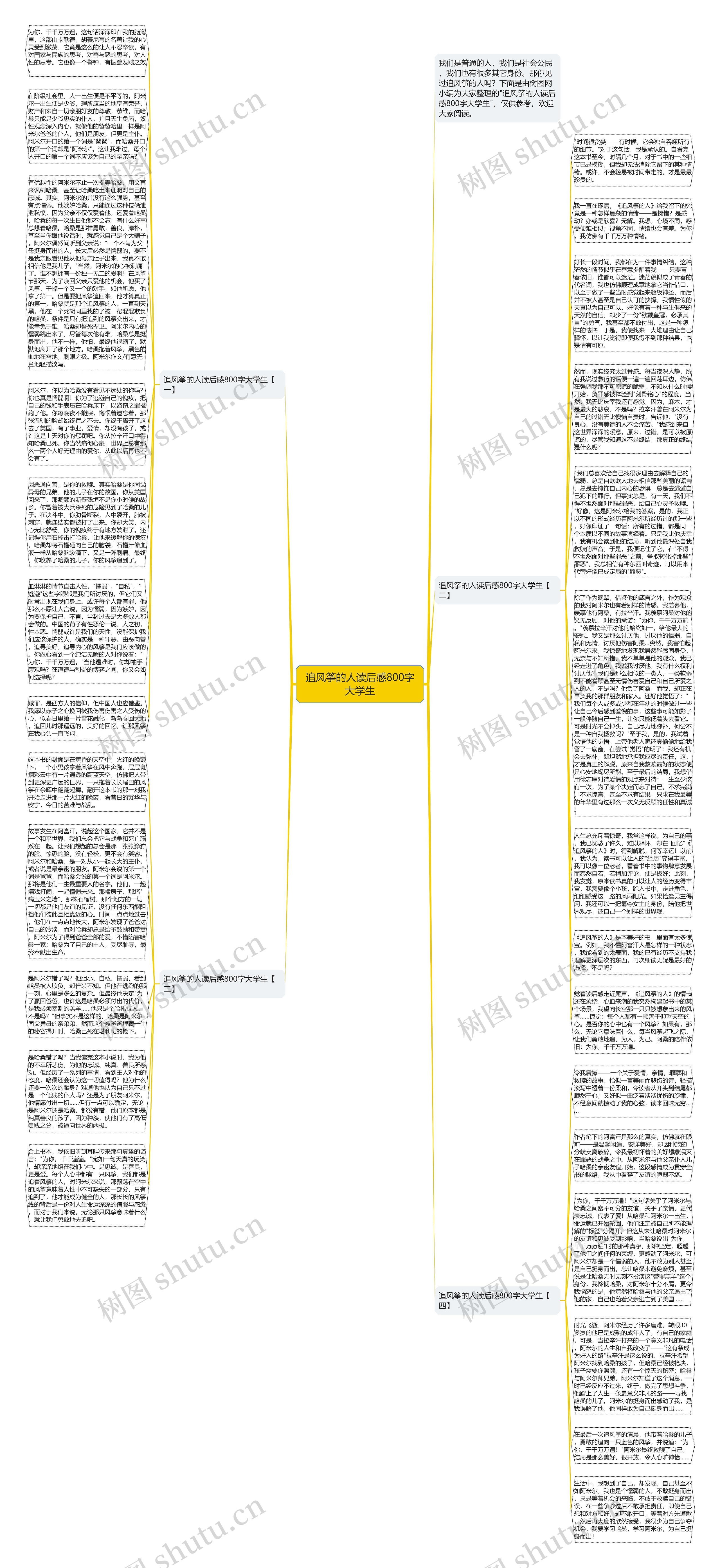 追风筝的人读后感800字大学生思维导图