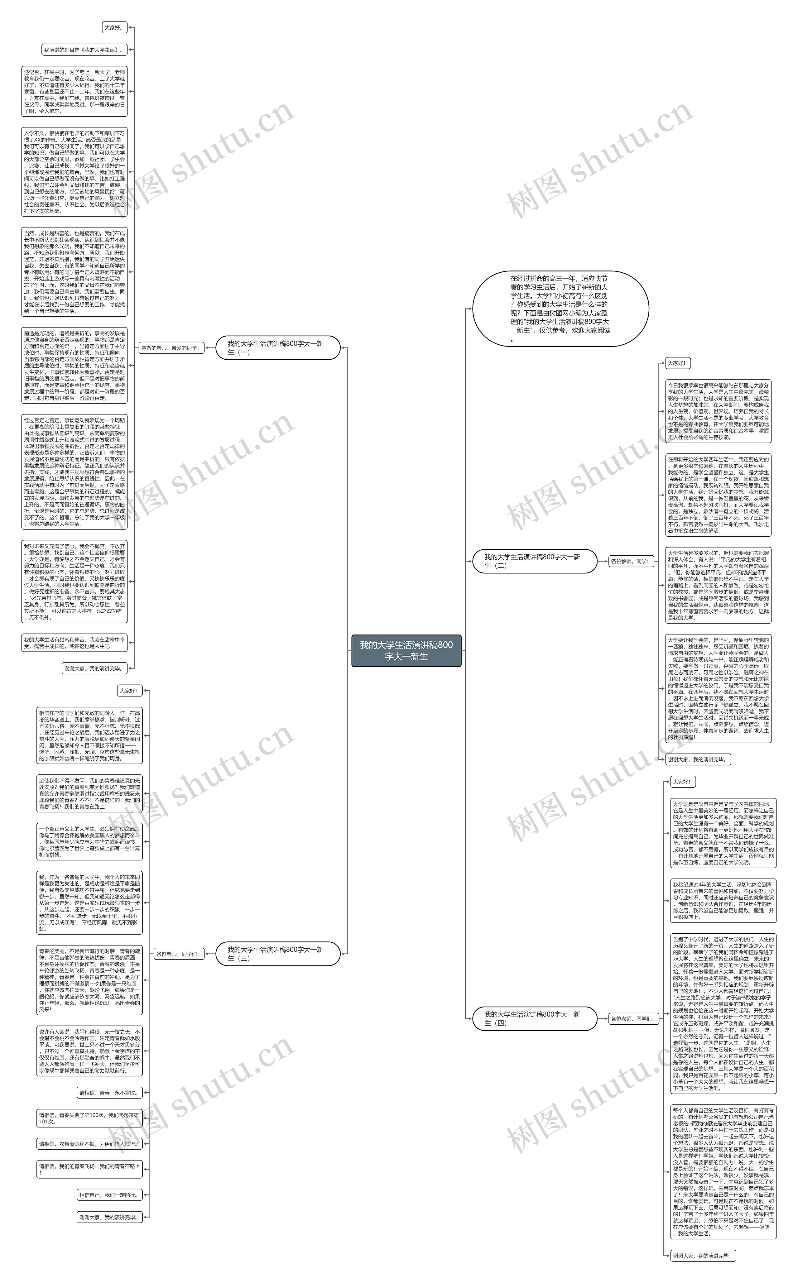 我的大学生活演讲稿800字大一新生思维导图