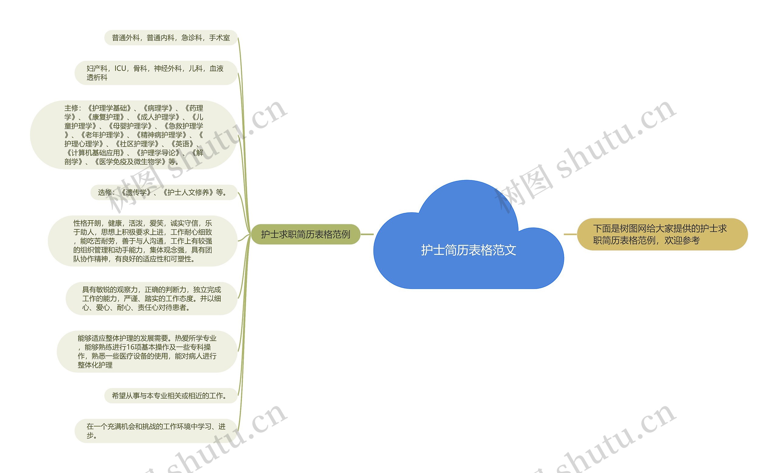 护士简历表格范文思维导图