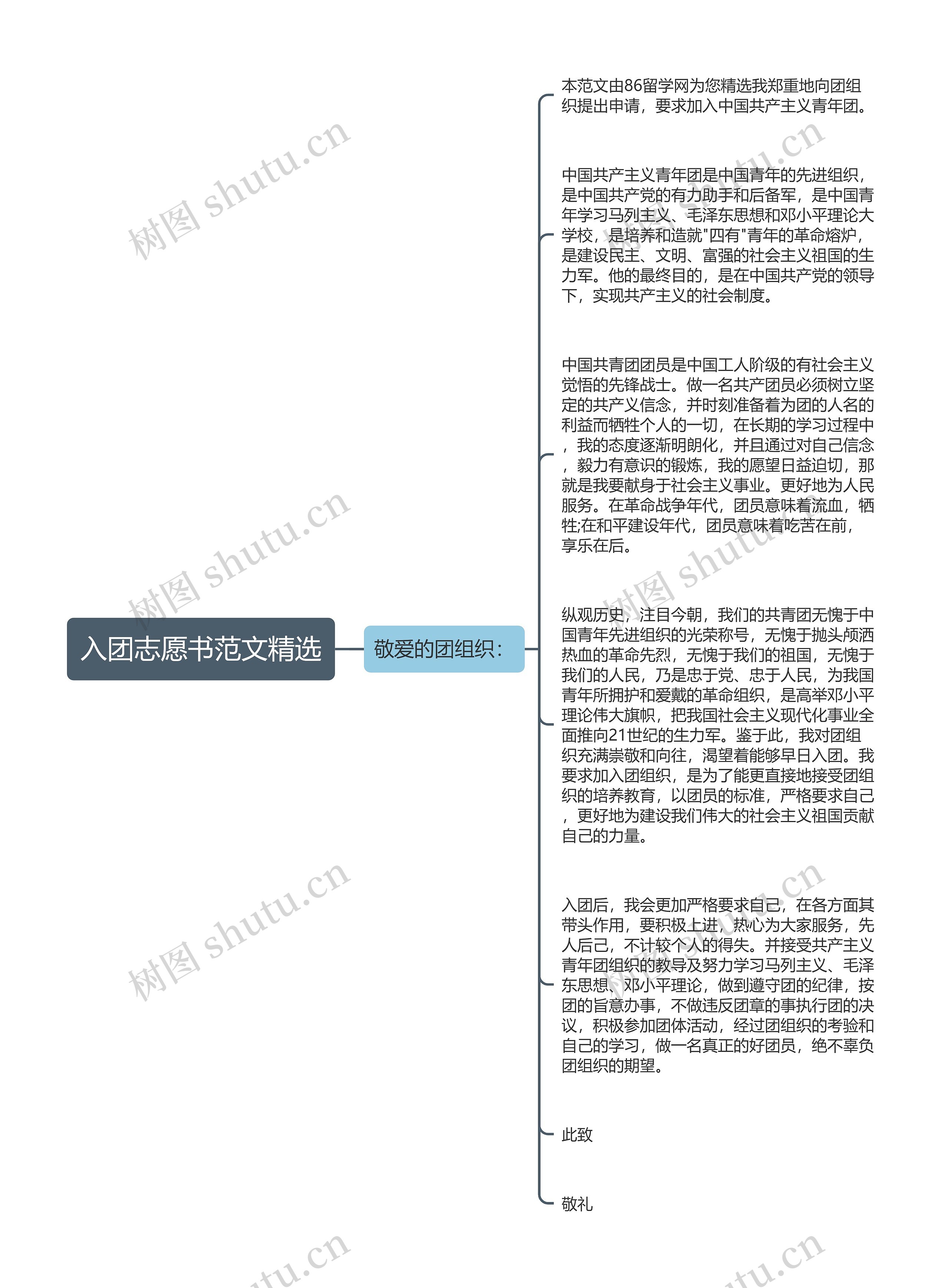 入团志愿书范文精选