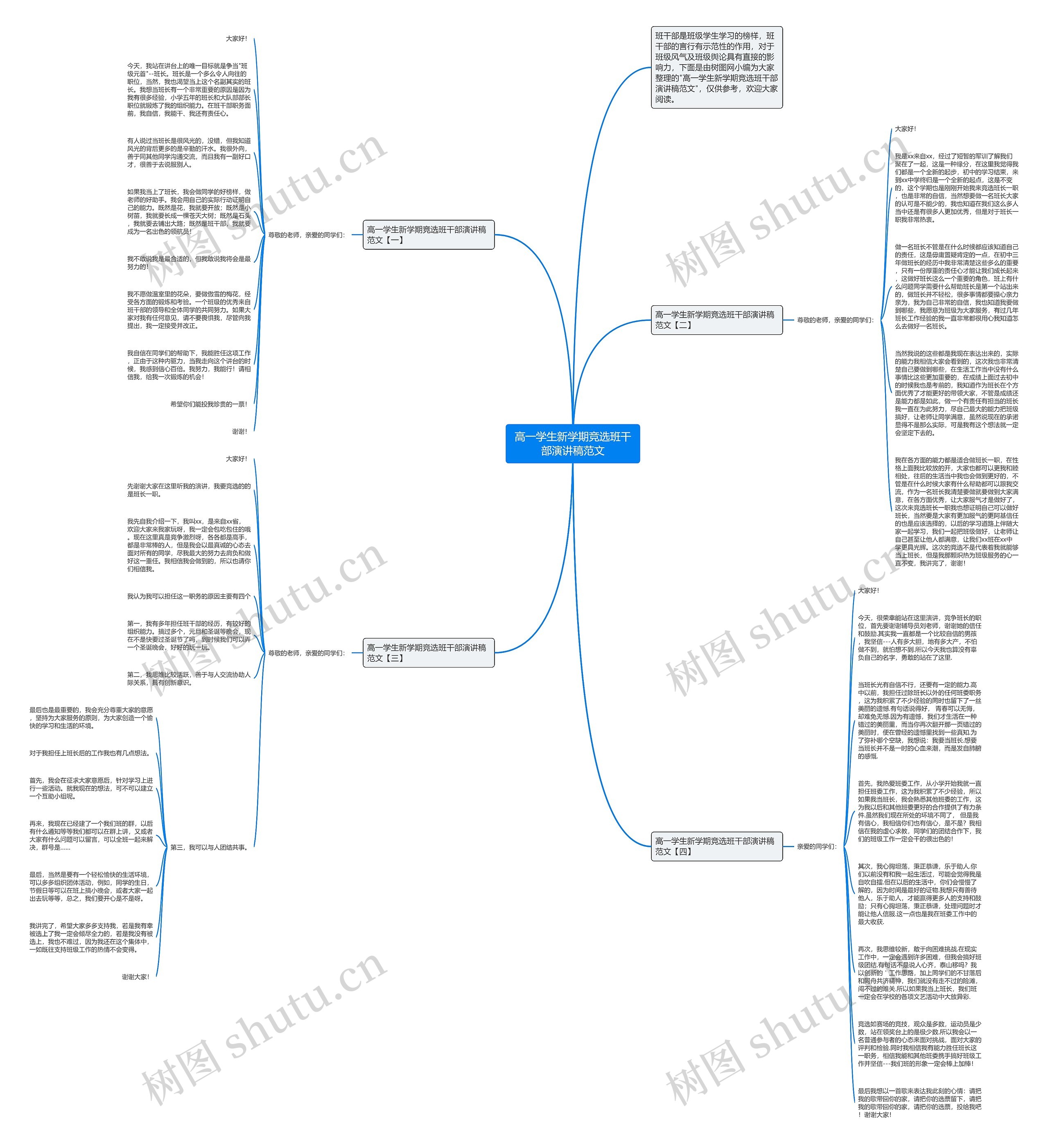高一学生新学期竞选班干部演讲稿范文思维导图