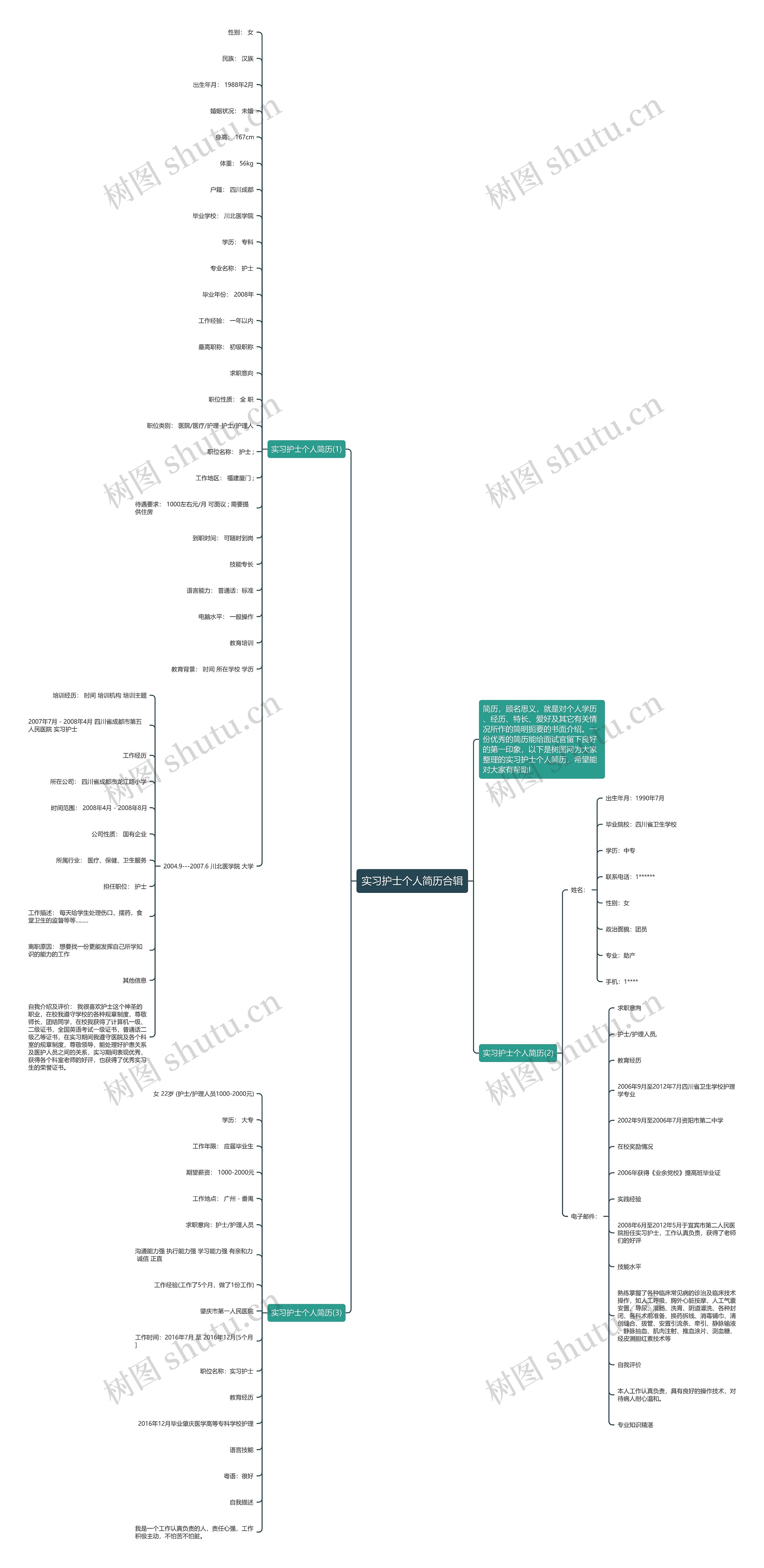 实习护士个人简历合辑思维导图