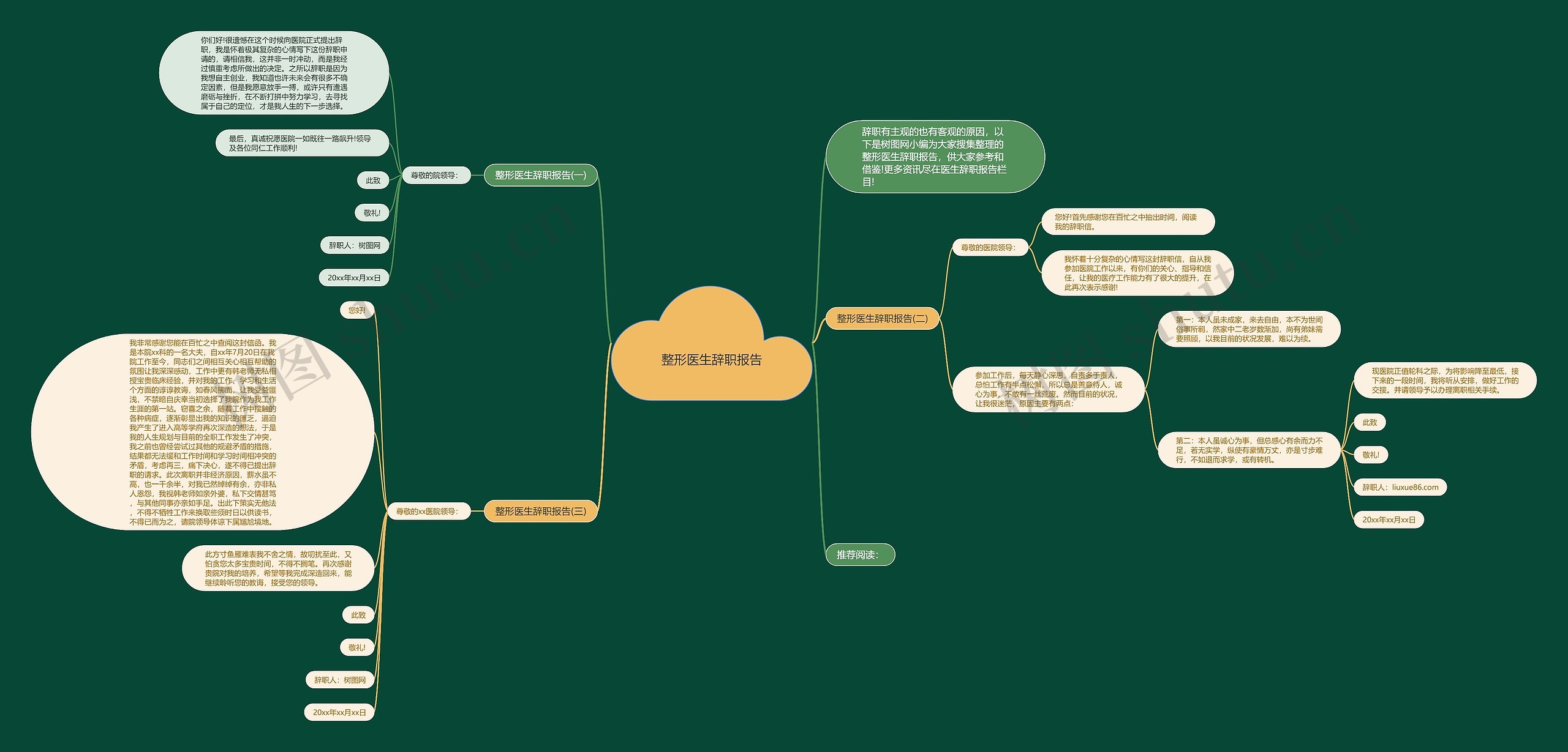 整形医生辞职报告思维导图