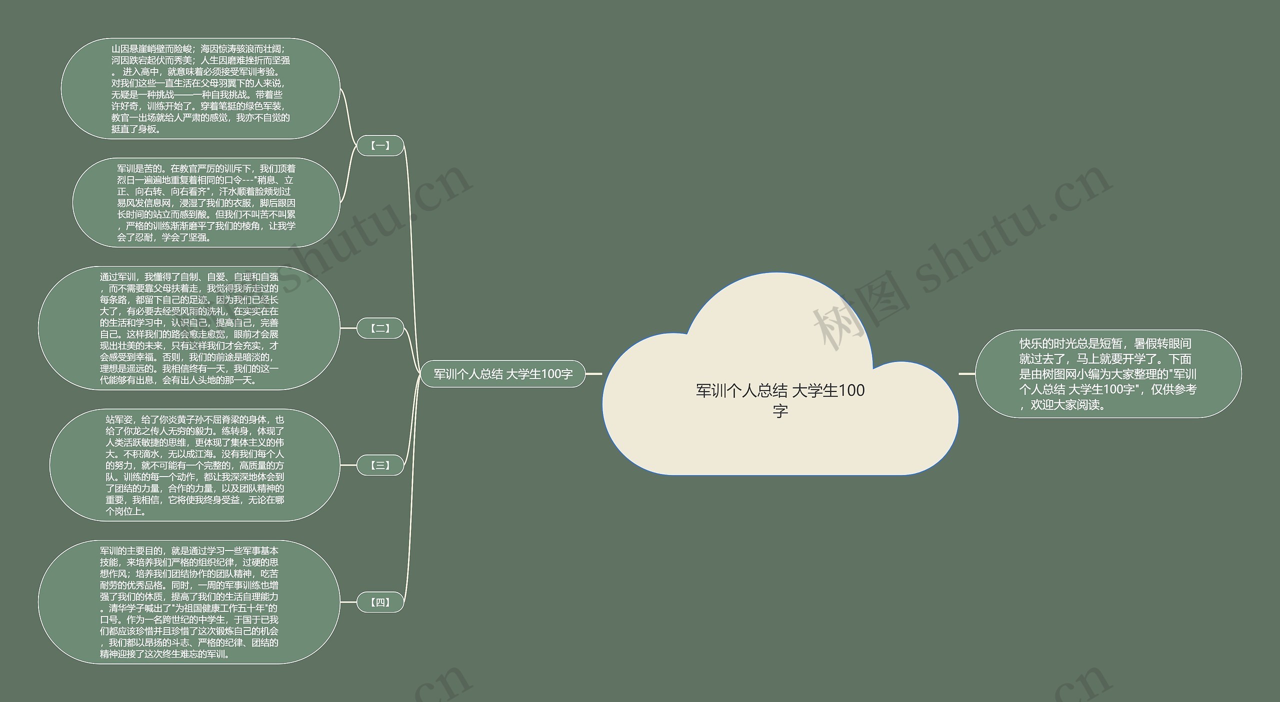 军训个人总结 大学生100字