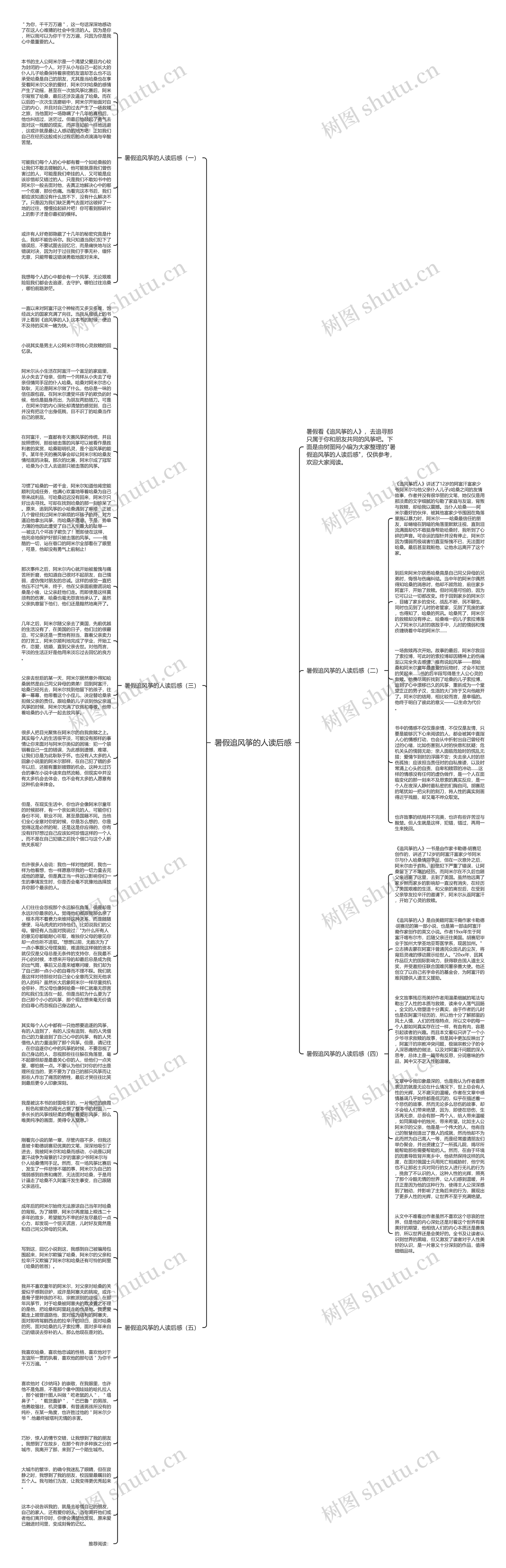 暑假追风筝的人读后感思维导图