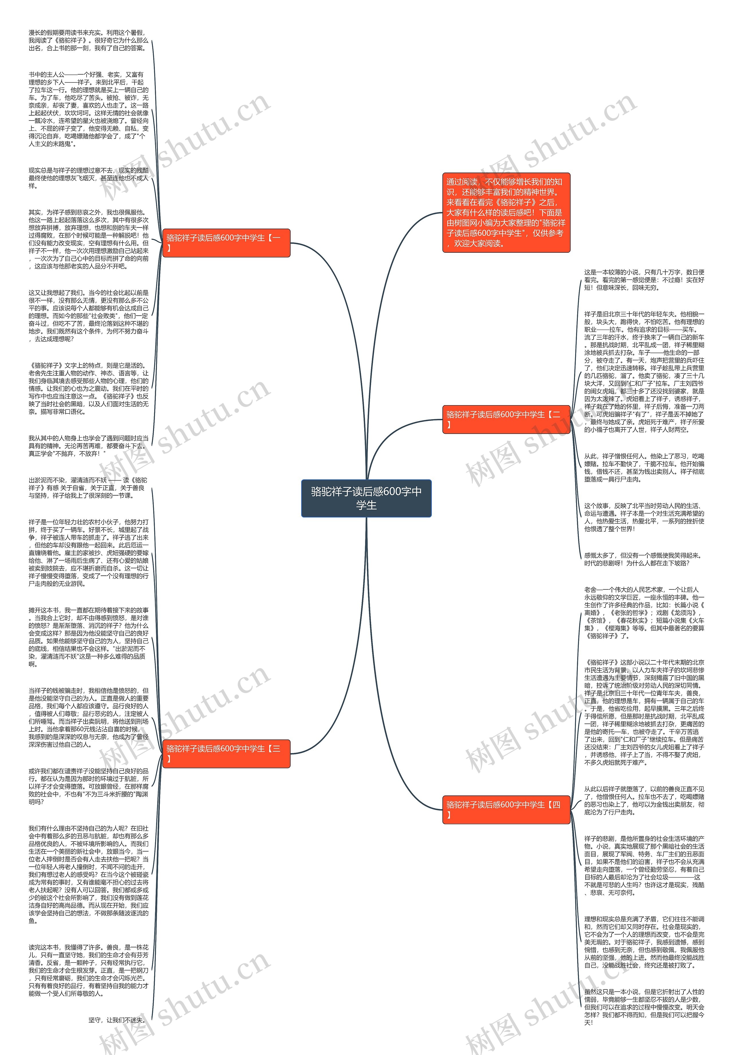 骆驼祥子读后感600字中学生思维导图